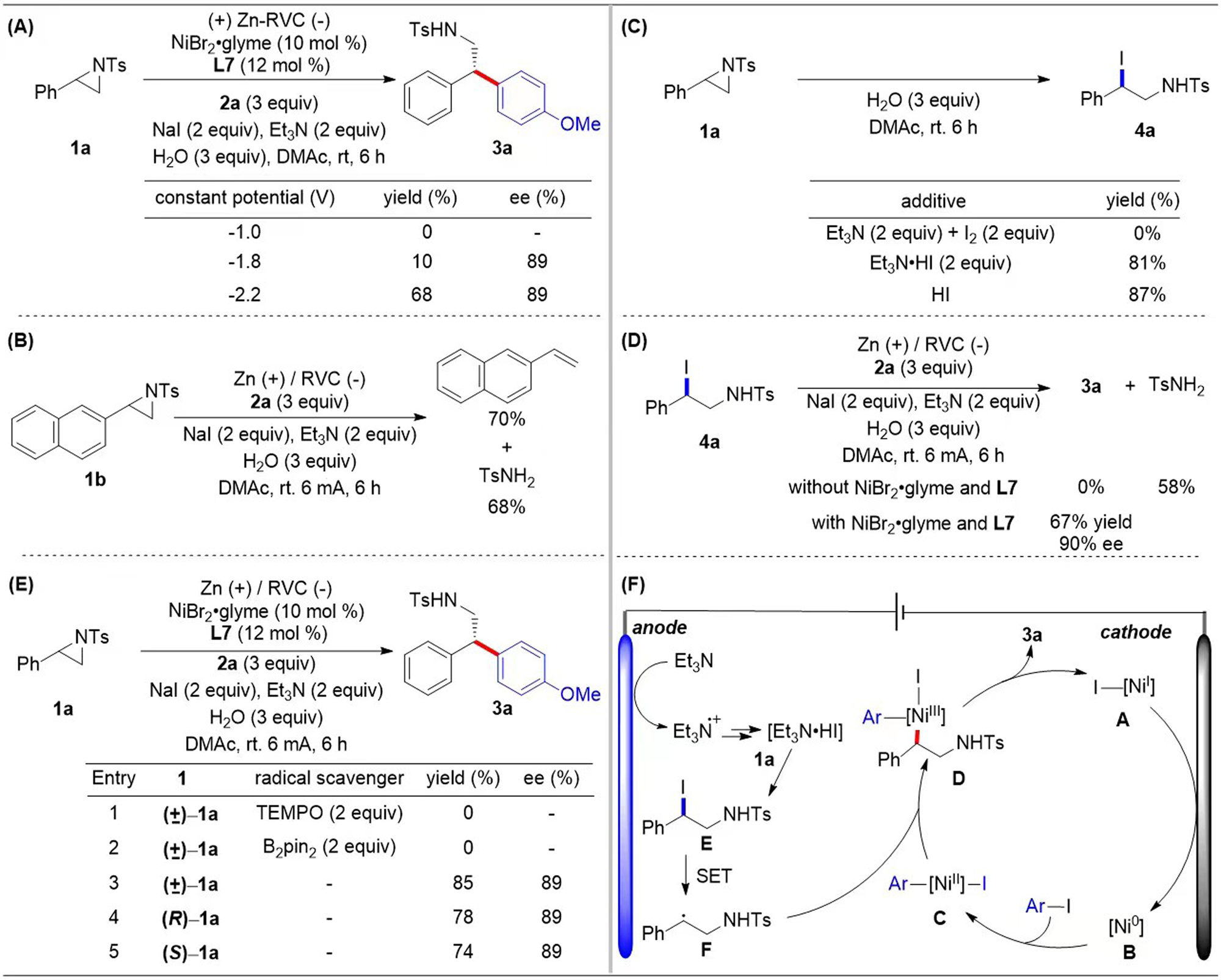 Fig. 5: Mechanistic studies.