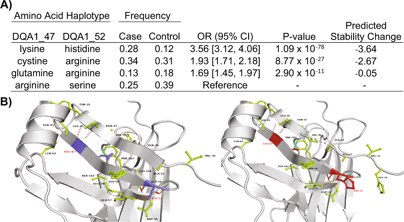 Fig. 4: HLA-DQA1 amino-acid associations and stability prediction.