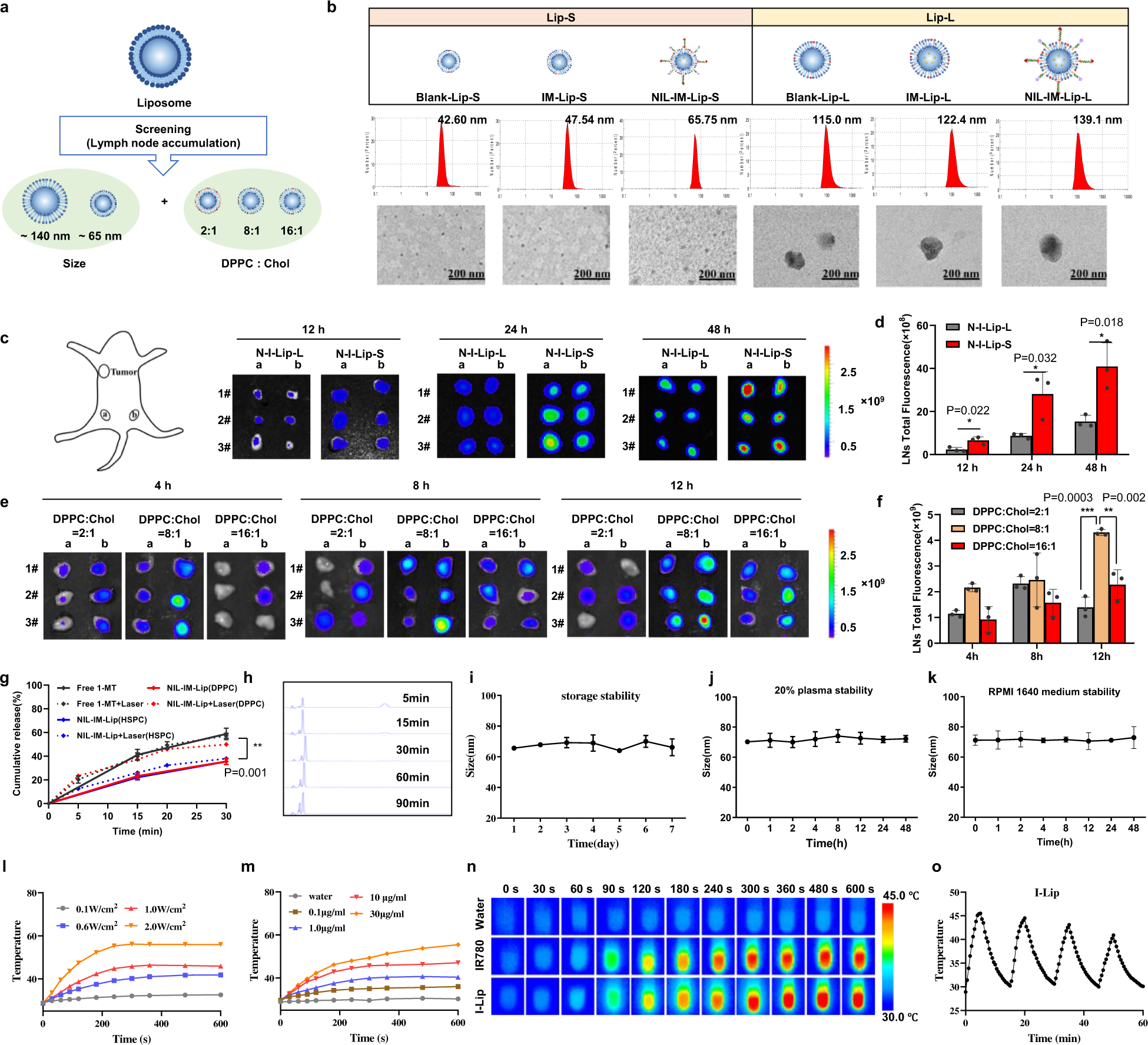 Fig. 2: Efficacy of NIL-IM-Lip with a small size and 1/8 mass ratio of cholesterol on LNs directing properties, xenotype cell delivery and photothermal conversion.
