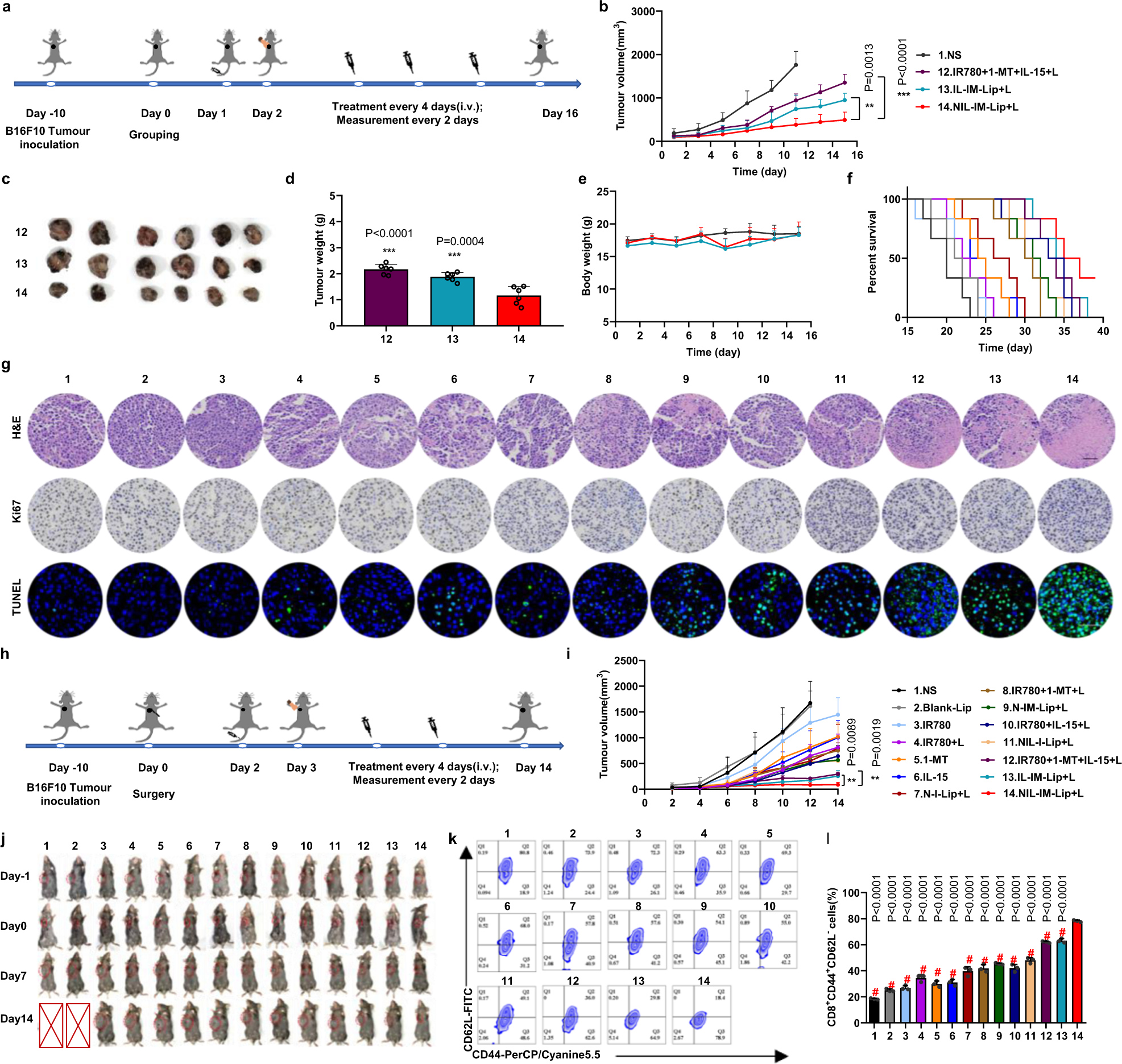 Fig. 6: The antitumour and postsurgical recurrence efficacy of NIL-IM-Lip + L in the B16F10 primary and postsurgical recurrence models.
