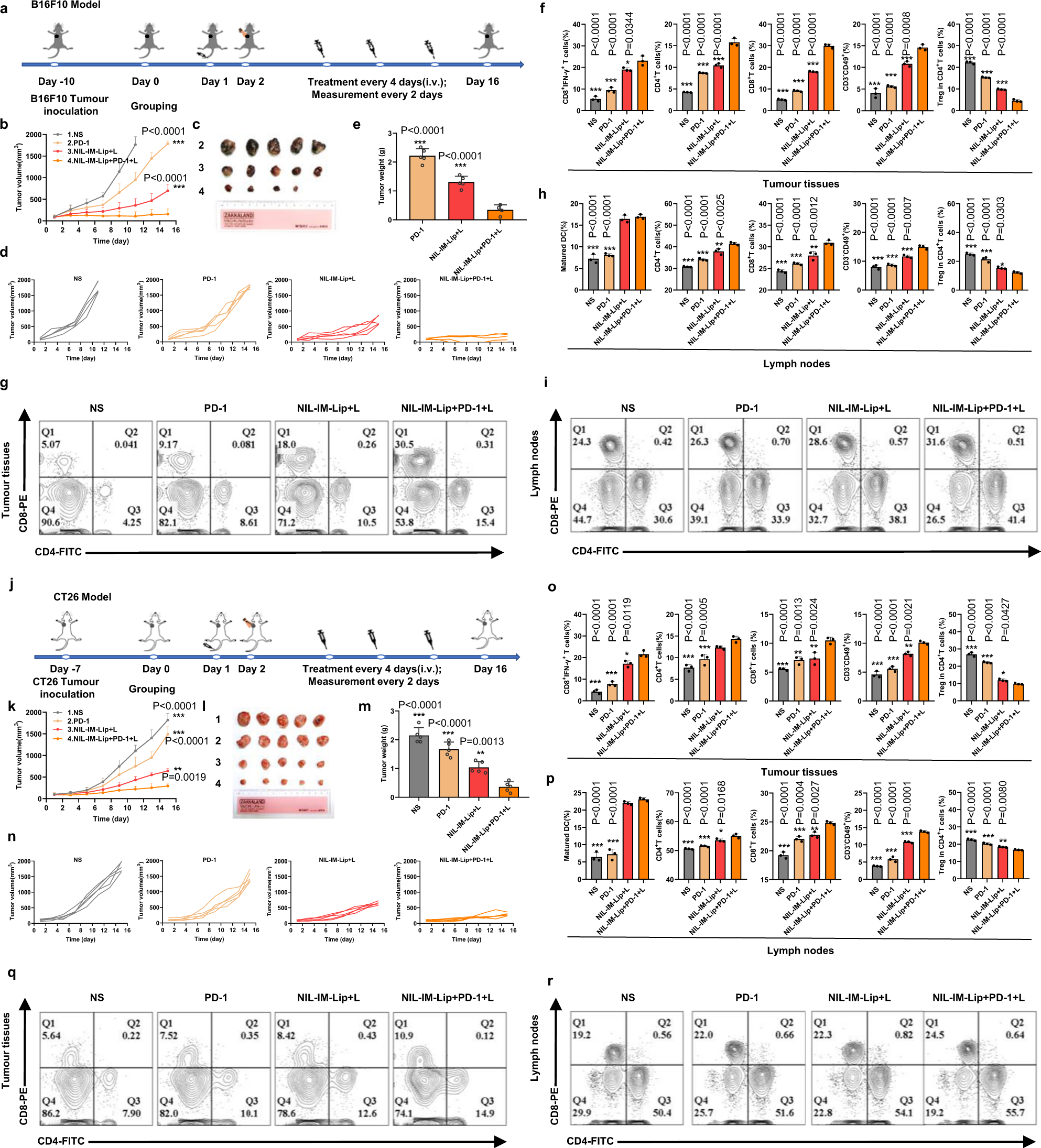 Fig. 8: Amplified antitumour effects of NIL-IM-Lip + L and PD−1 mAb cotreatment in hot tumours (B16F10 model) and cold tumours (CT26 model).