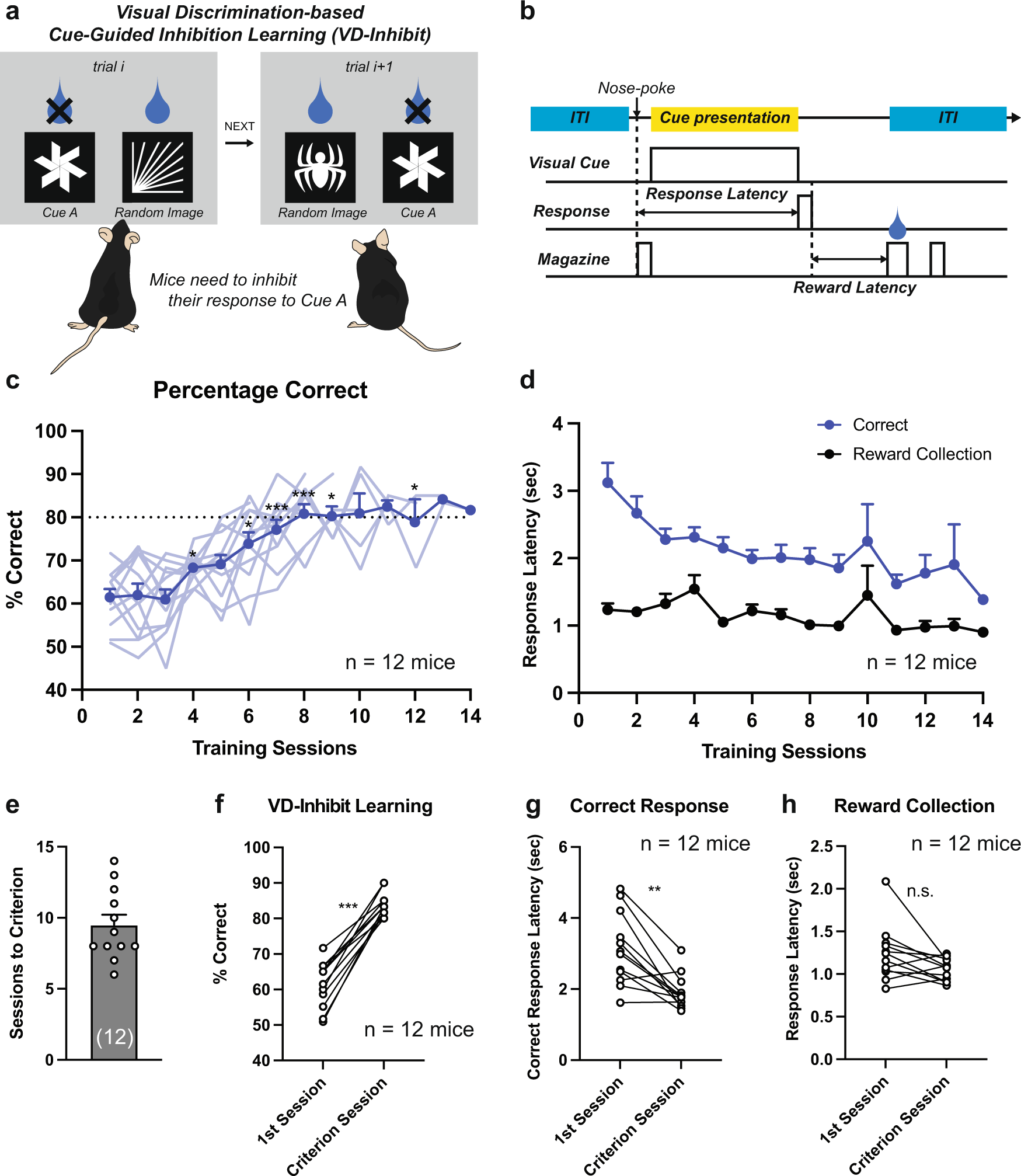 Error-related signaling in nucleus accumbens D2 receptor-expressing neurons  guides inhibition-based choice behavior in mice | Nature Communications