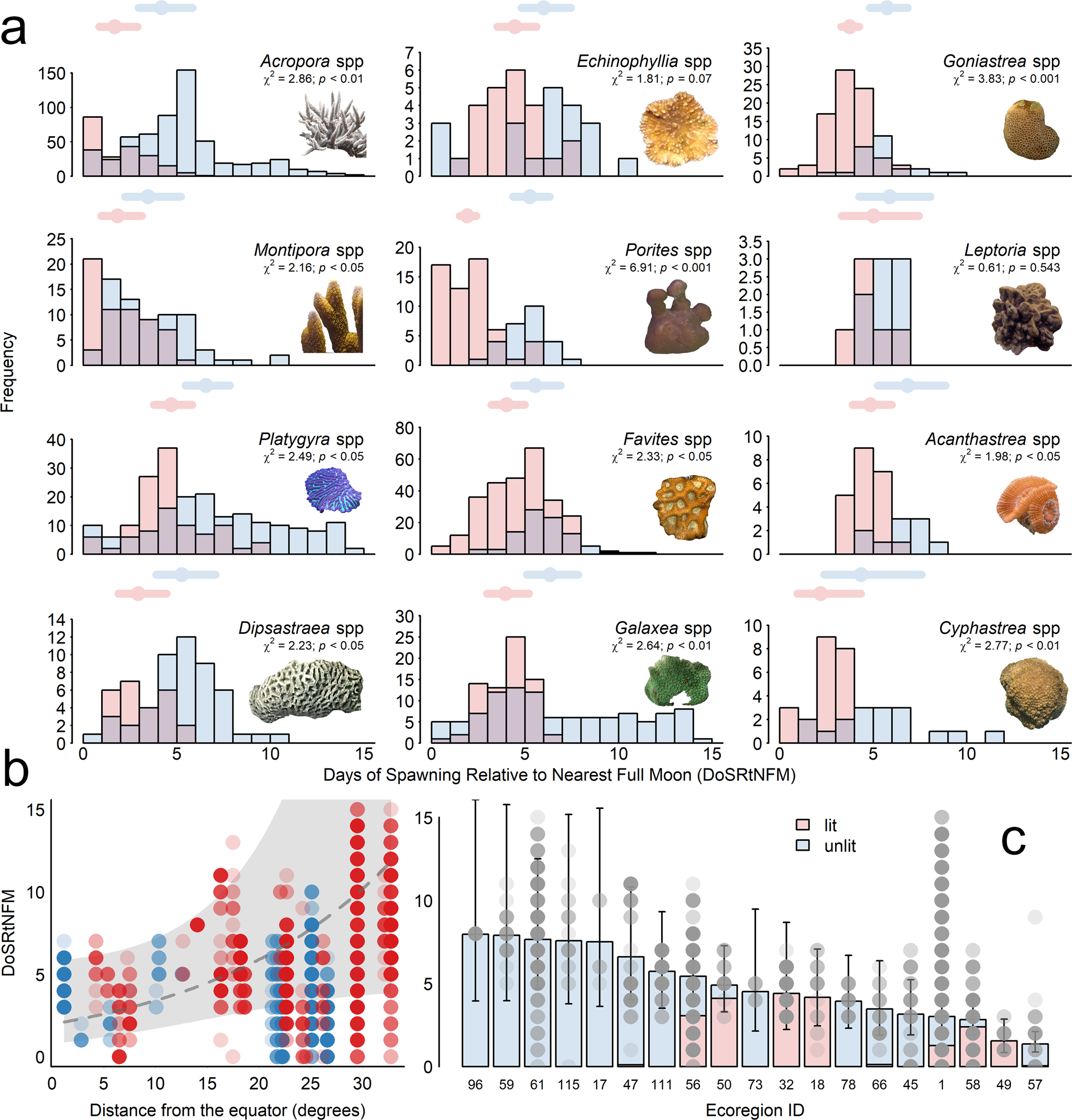 Fig. 2: Underwater ALAN disrupts the timing of broadcast spawning by scleractinian corals.