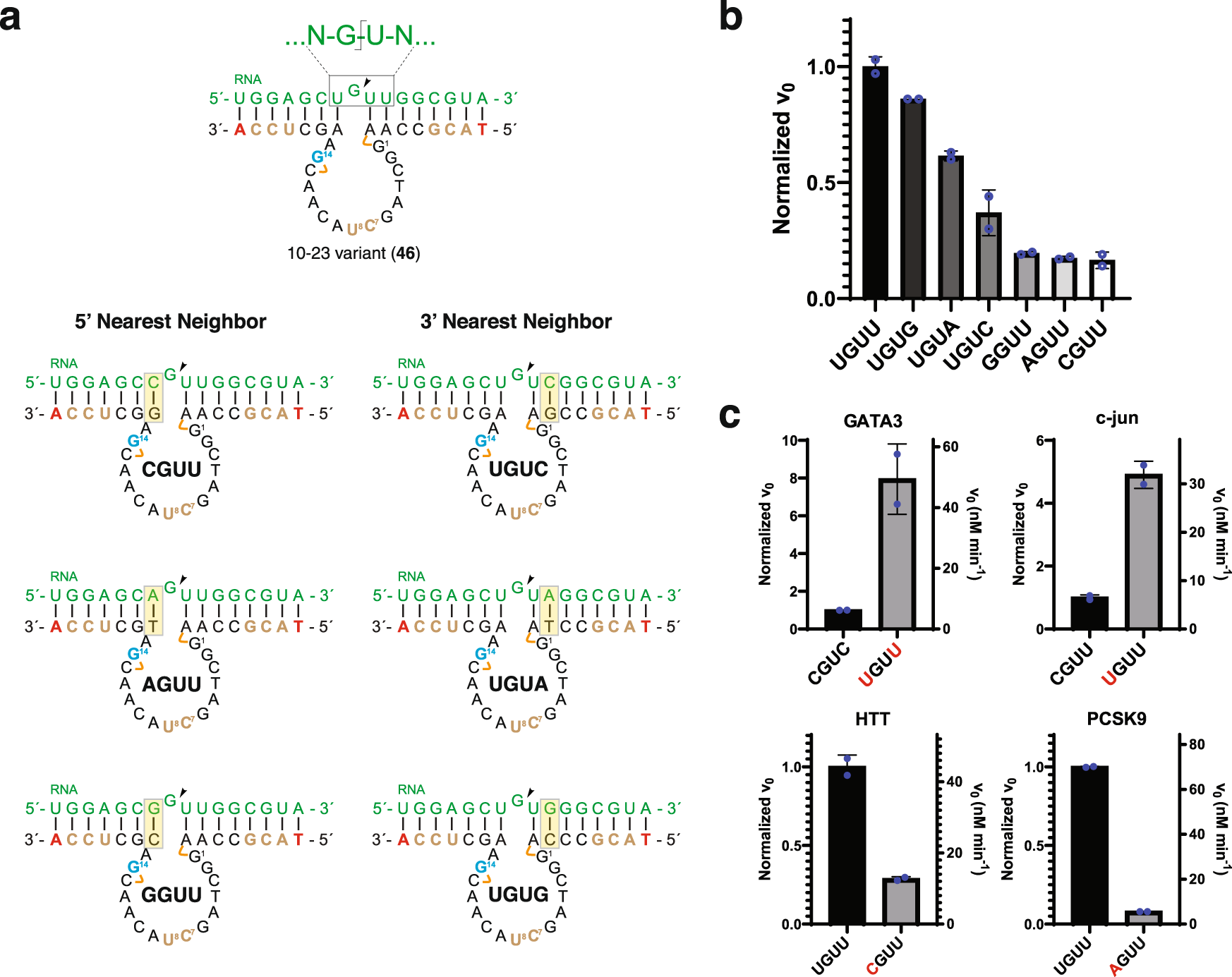 Fig. 2: Nearest neighbor analysis uncovers an expanded GU cleavage motif.