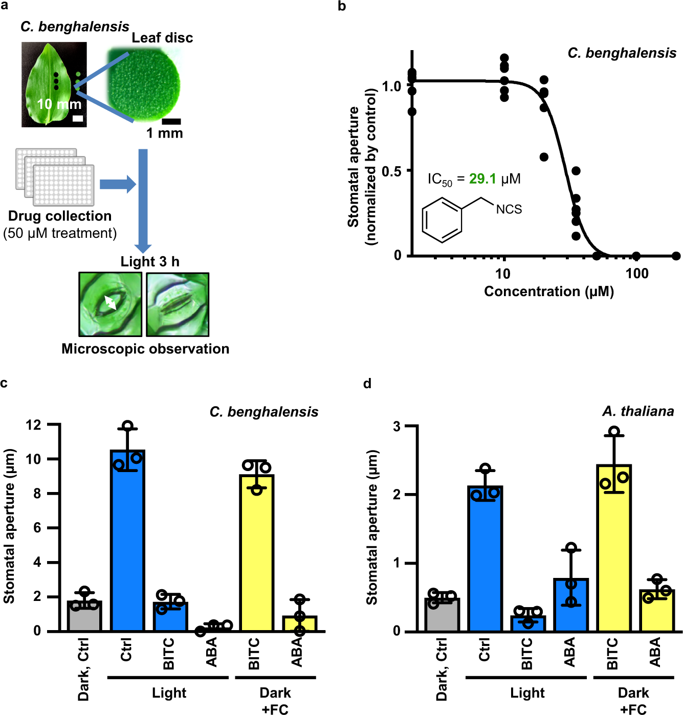 Identification and improvement of isothiocyanate-based inhibitors on  stomatal opening to act as drought tolerance-conferring agrochemicals |  Nature Communications