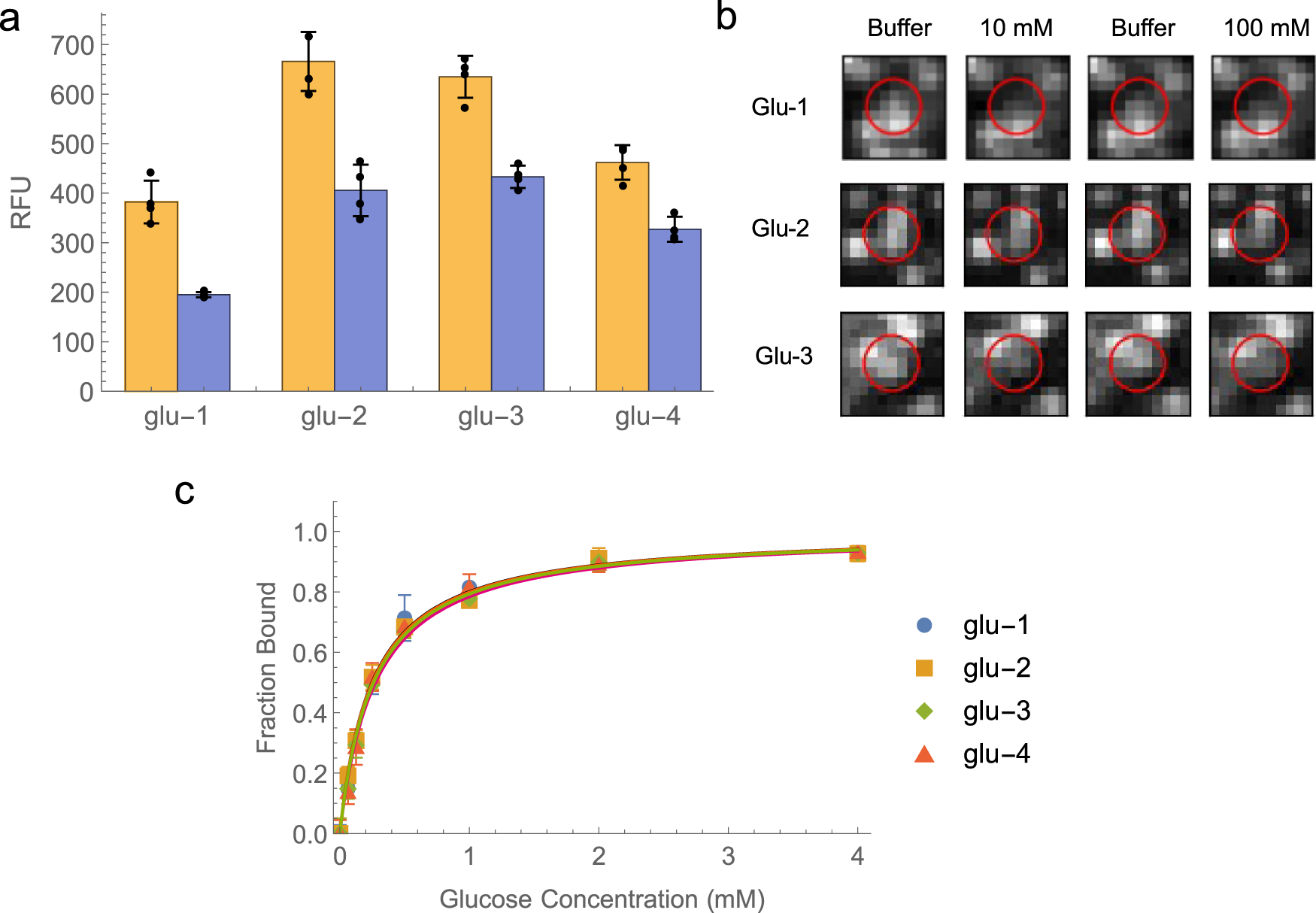 Fig. 5: Identification and characterization of phenylboronic acid-modified aptamer switches for glucose.