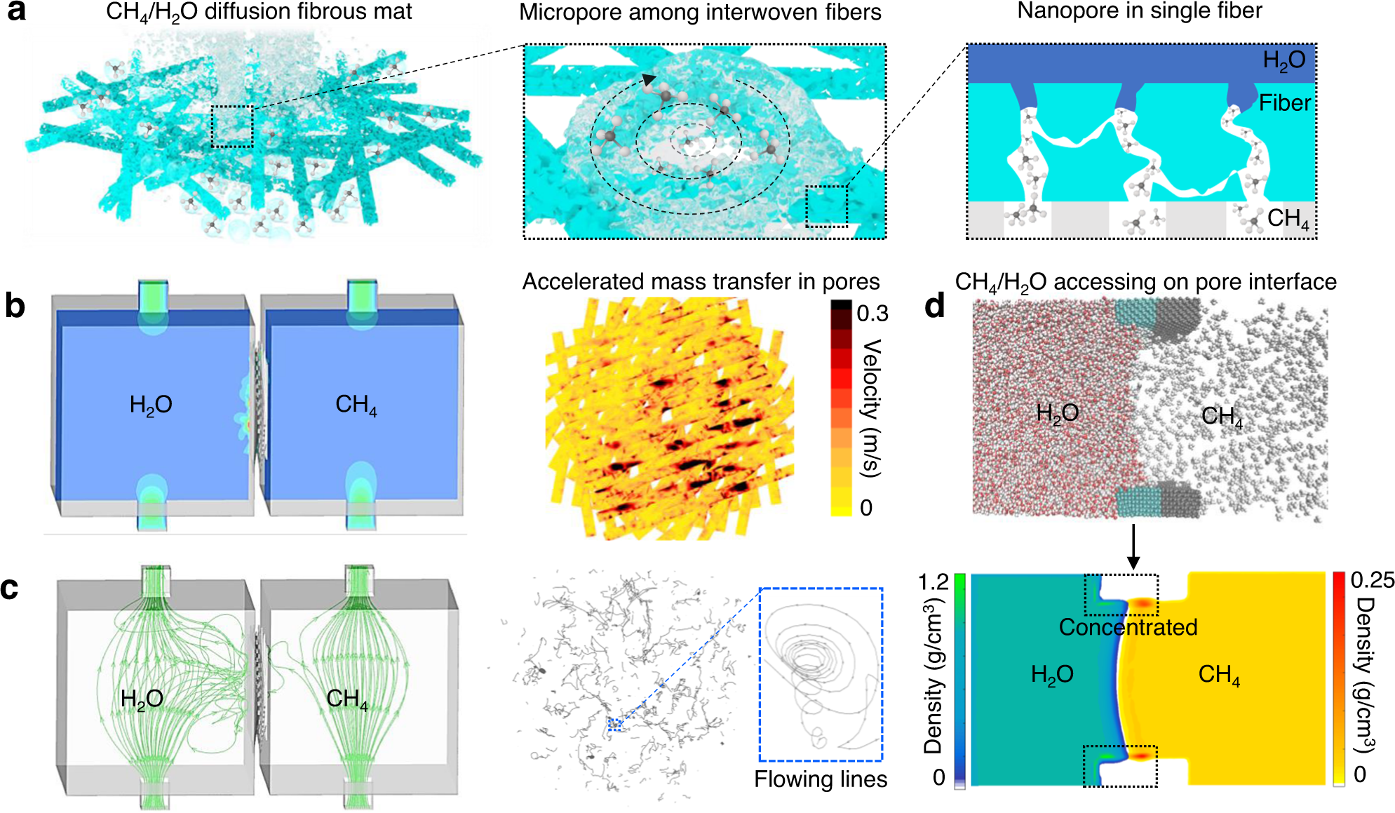 Hierarchical triphase diffusion photoelectrodes for photoelectrochemical  gas/liquid flow conversion | Nature Communications