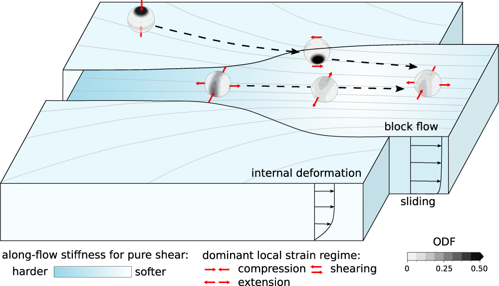 Fig. 4: Summary of flow mechanics and evolution of the crystal orientation fabric (COF) in the ice-stream onset region.