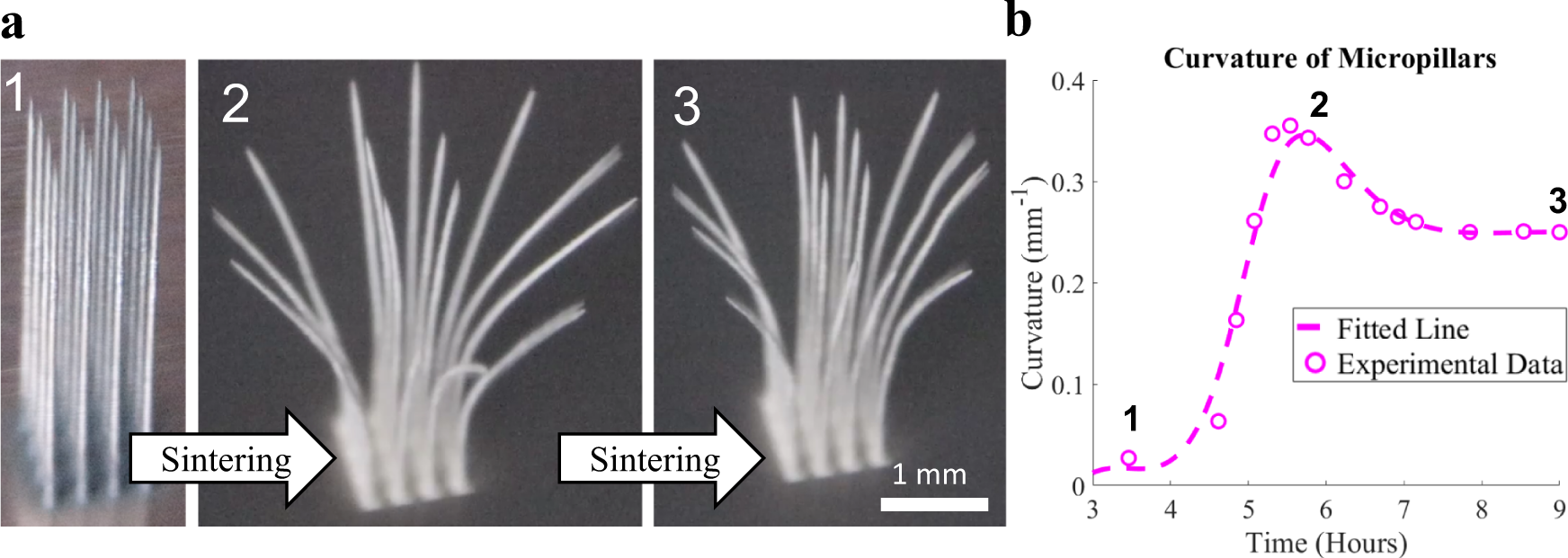 Fig. 2: Sintering distortion of micropillars.
