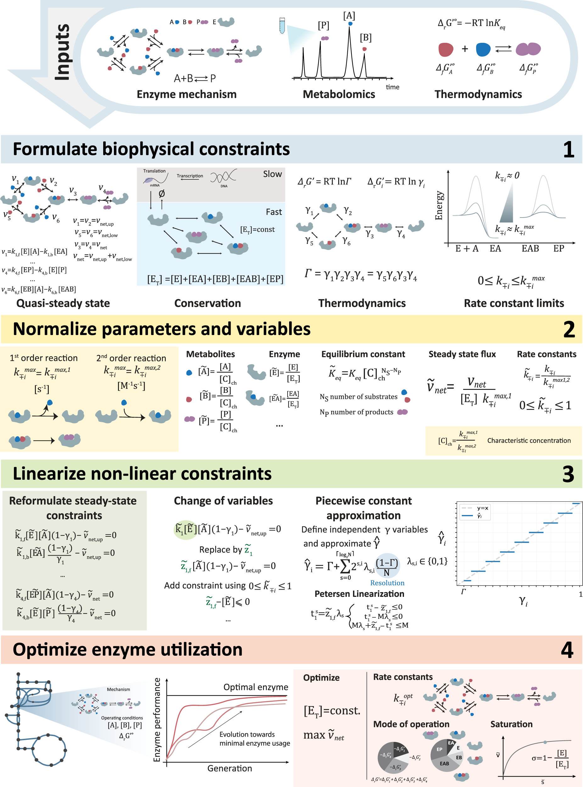 Optimal enzyme utilization suggests that concentrations and thermodynamics determine binding mechanisms and enzyme saturations | Nature Communications Optimal enzyme utilization suggests that concentrations and thermodynamics determine binding mechanisms and enzyme saturations | Nature Communications