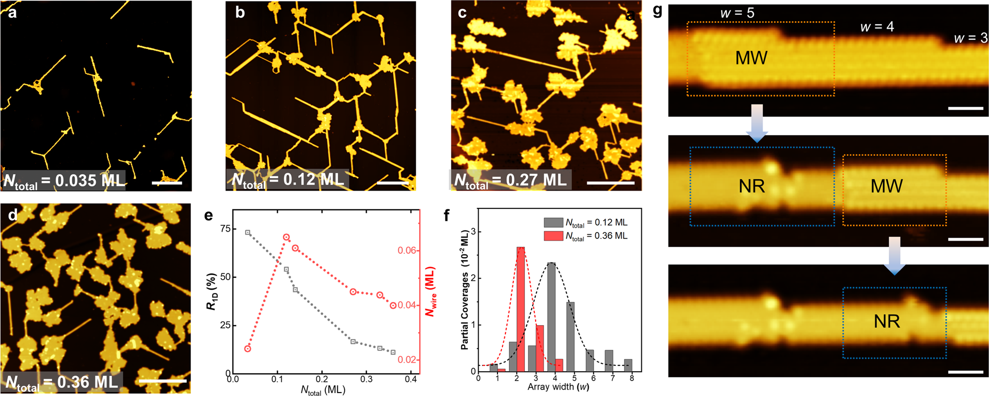 Fig. 3: Coverage-dependent and tip-manipulated 1D-to-2D transformations.