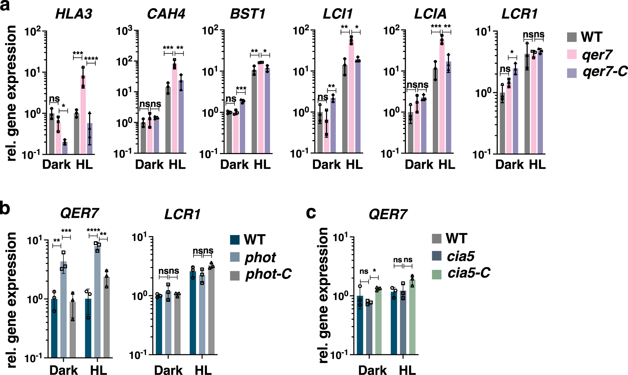 Fig. 4: QER7 suppresses transcription of CCM genes and depends on PHOT.