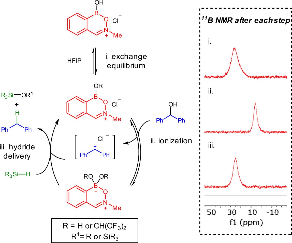 Fig. 9: Proposed catalytic cycle for alcohol deoxygenation.