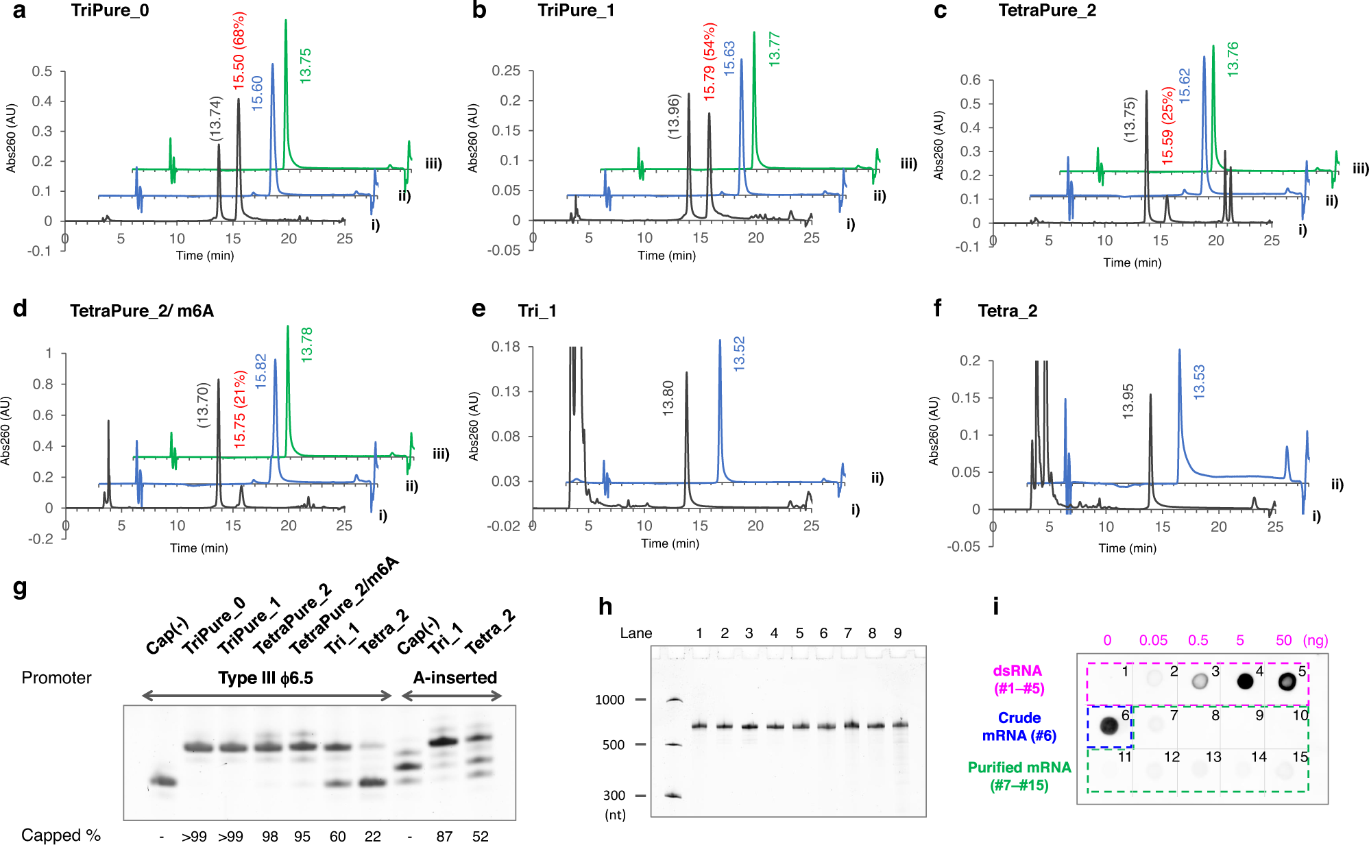 Fig. 5: Nluc mRNA (650-nt) preparation using tri/tetranucleotide PureCap analogs.