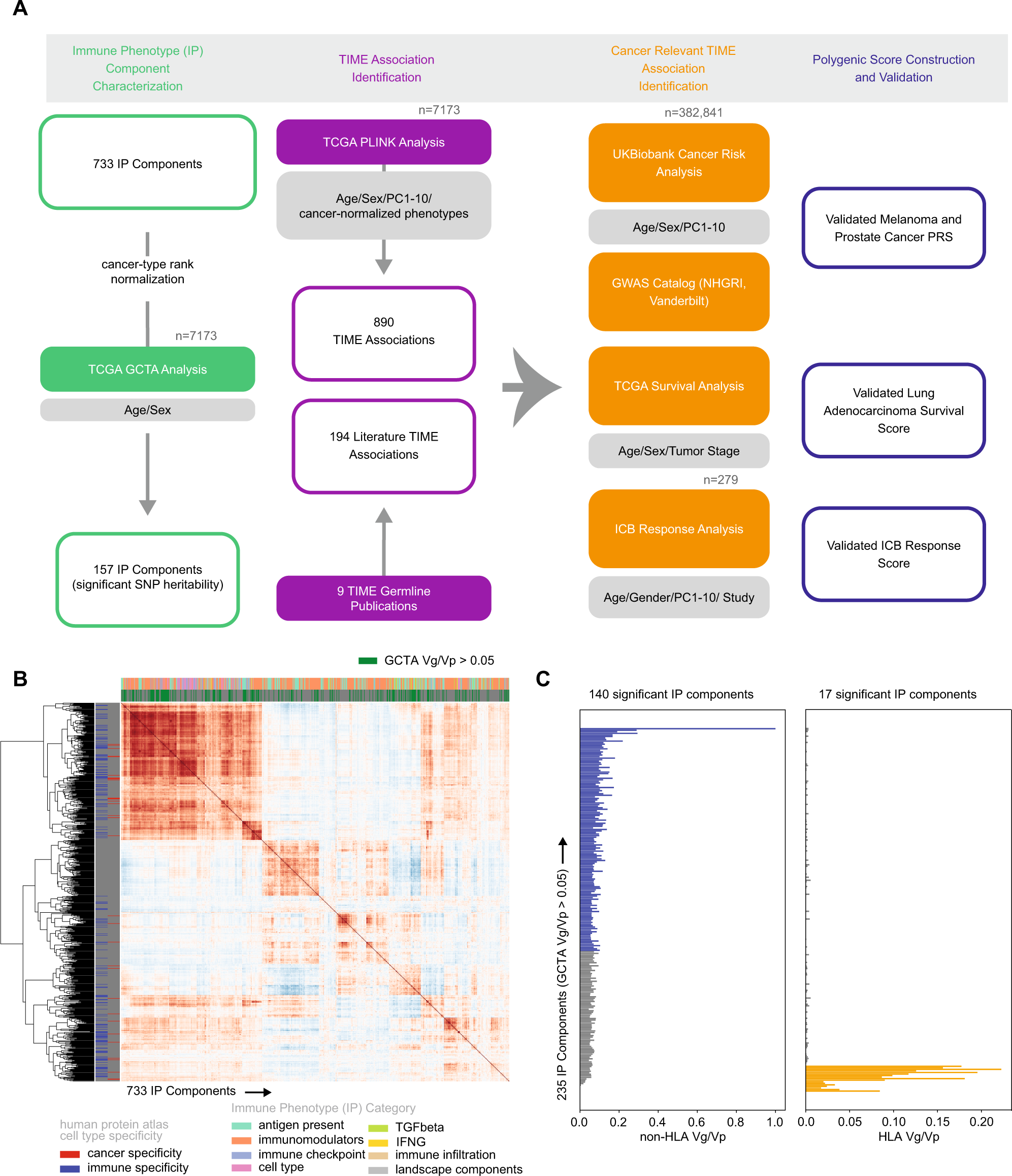 Germline modifiers of the tumor immune microenvironment implicate drivers of cancer risk and immunotherapy response Nature Communications