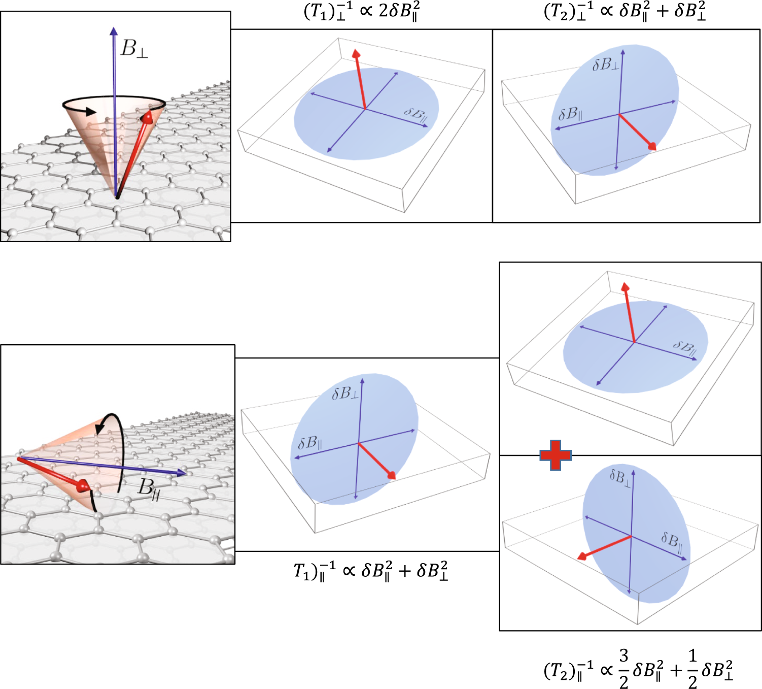 Fig. 2: Schematics of the geometry of the different spin-relaxation contributions for B⊥ (upper panel) and B∥ (lower panel).