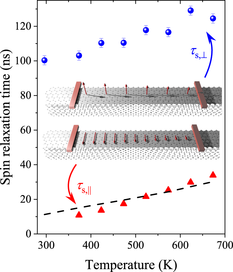 Fig. 4: The spin-lattice relaxation time, T1, for the two orientations of the magnetic field (red triangles: B∥, blue dots: B⊥) in graphite as a function of temperature.