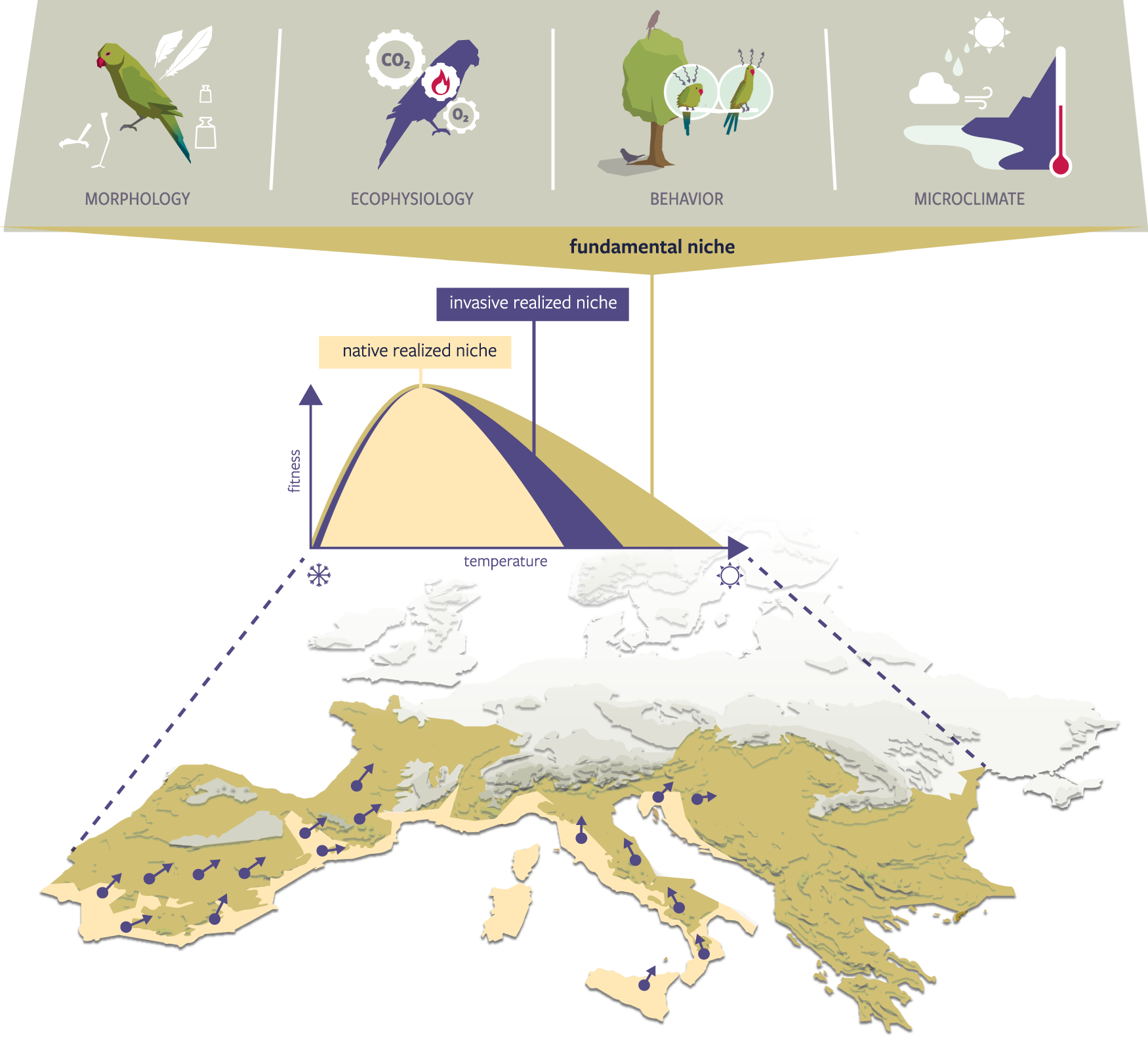 Mechanistic models project bird invasions with accuracy | Nature  Communications