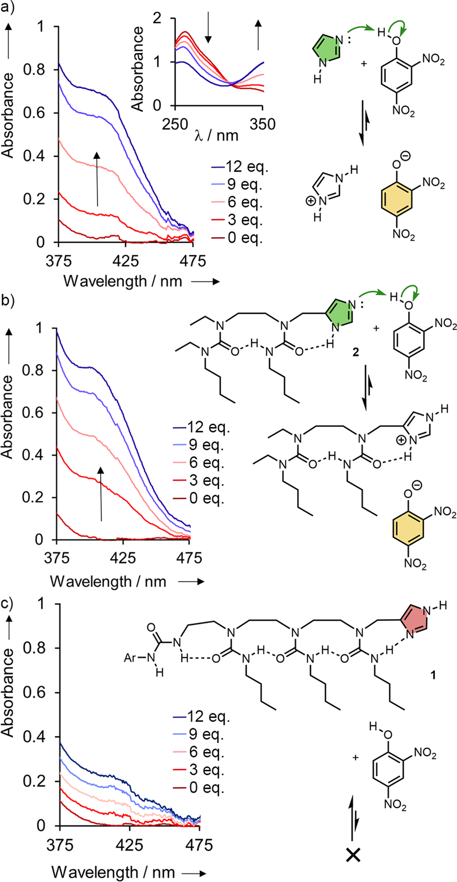 Fig. 3: Induced conformational effects on basicity.