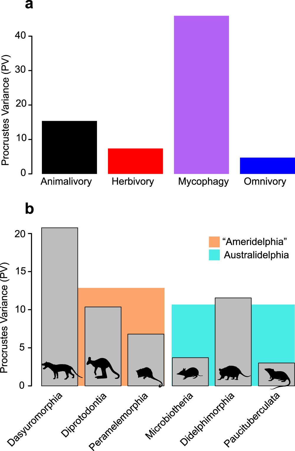 Fig. 4: Morphological disparity values.
