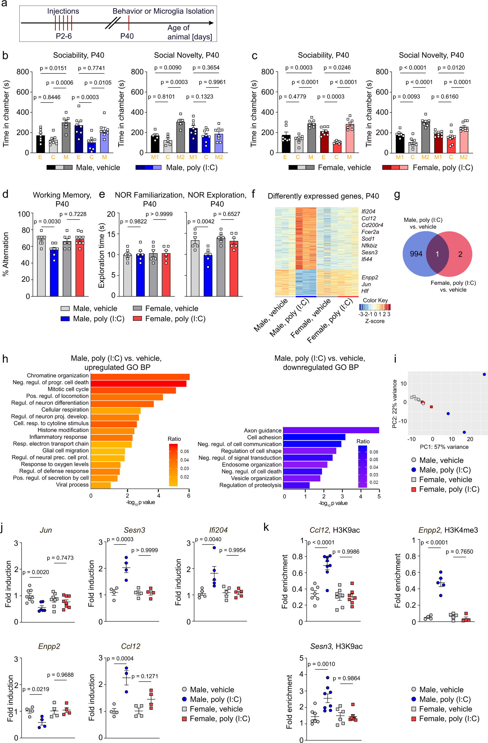 Neonatal immune challenge poses a sex-specific risk for epigenetic microglial reprogramming and behavioral impairment Nature Communications