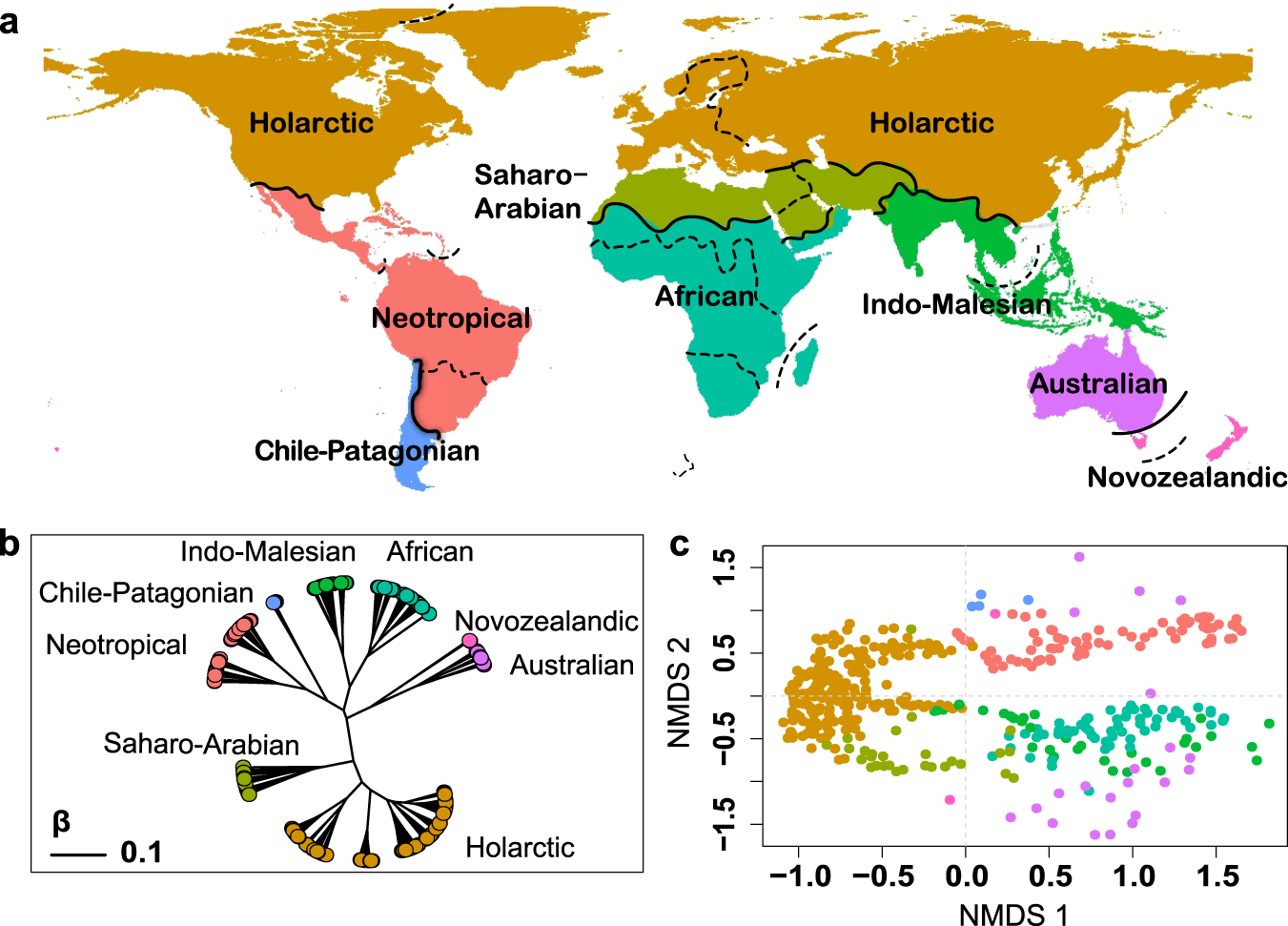 Origin Of Species Ch 65 An updated floristic map of the world | Nature Communications