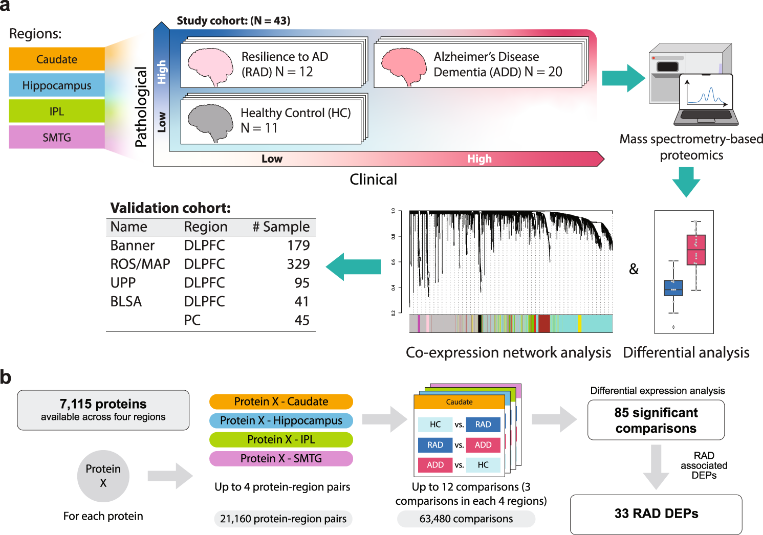 File:CAOB formation hypothesis 1.png - Wikimedia Commons