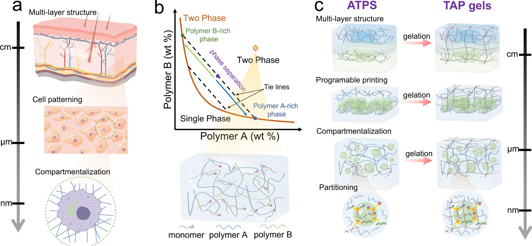 A critical review on performance and phase separation of