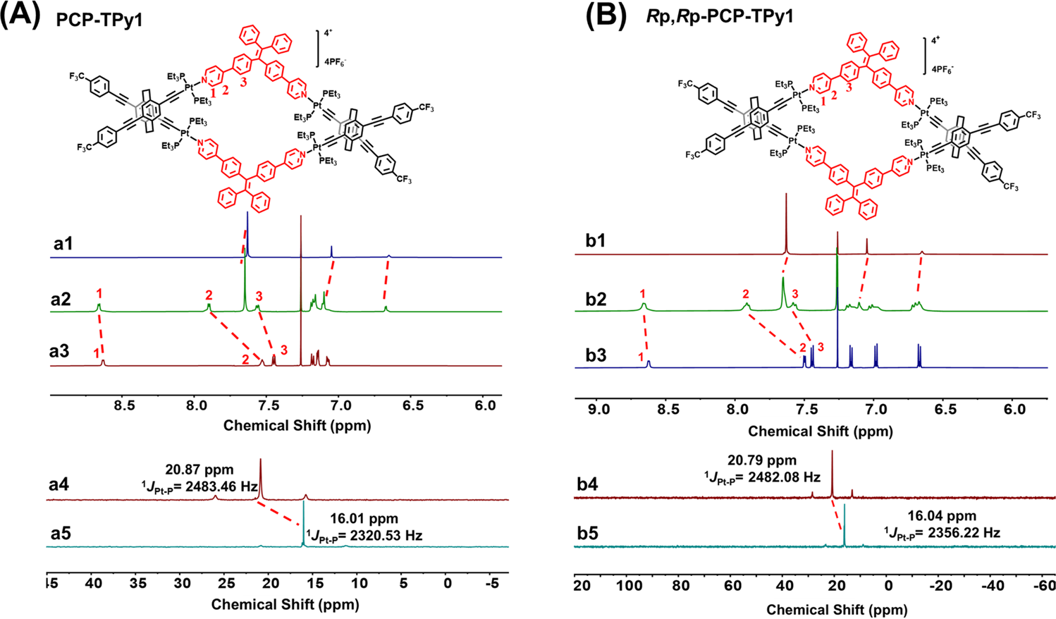 Fig. 2: NMR spectra.