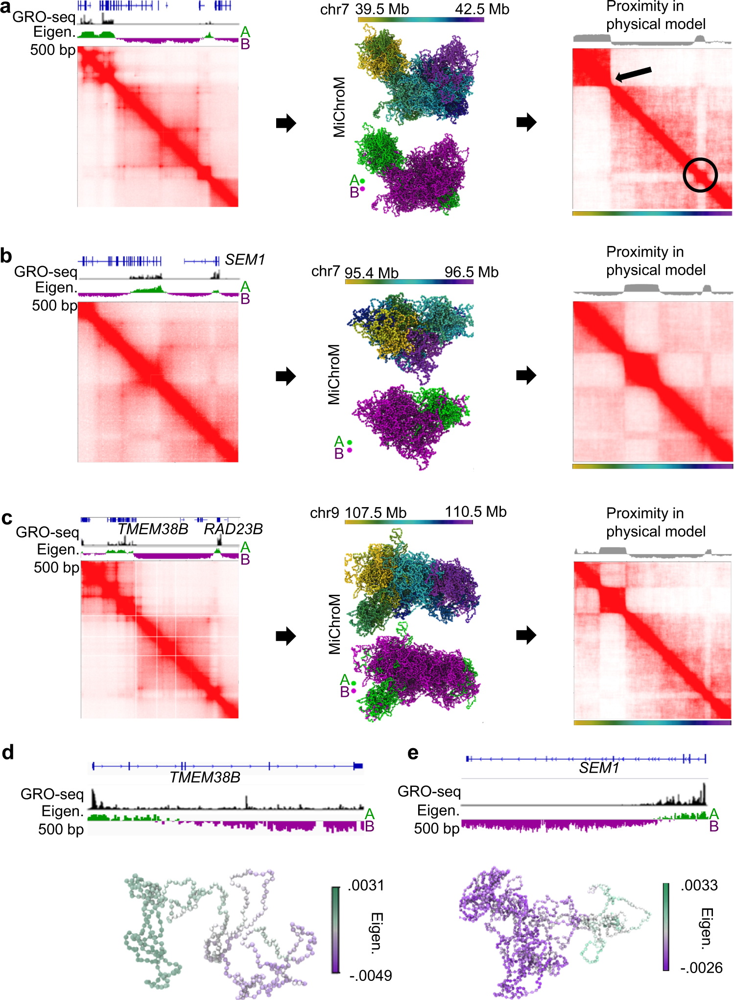 Fig. 4: Computational modeling of chromatin segments with kilobase-scale compartments.