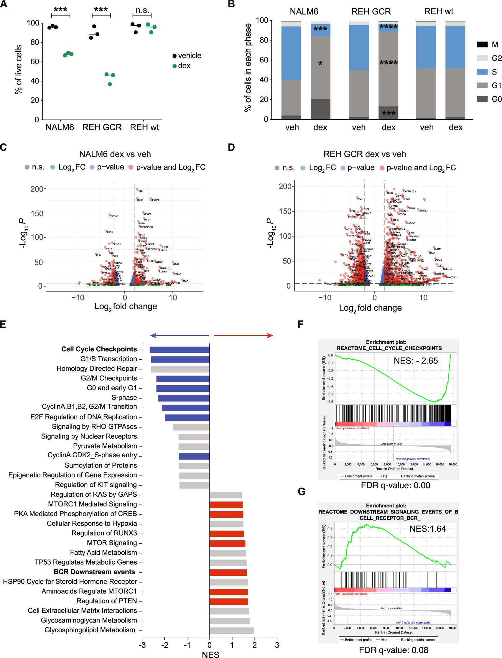Fig. 2: Glucocorticoid-mediated response and resistance in NALM6 and REH GCR cells.