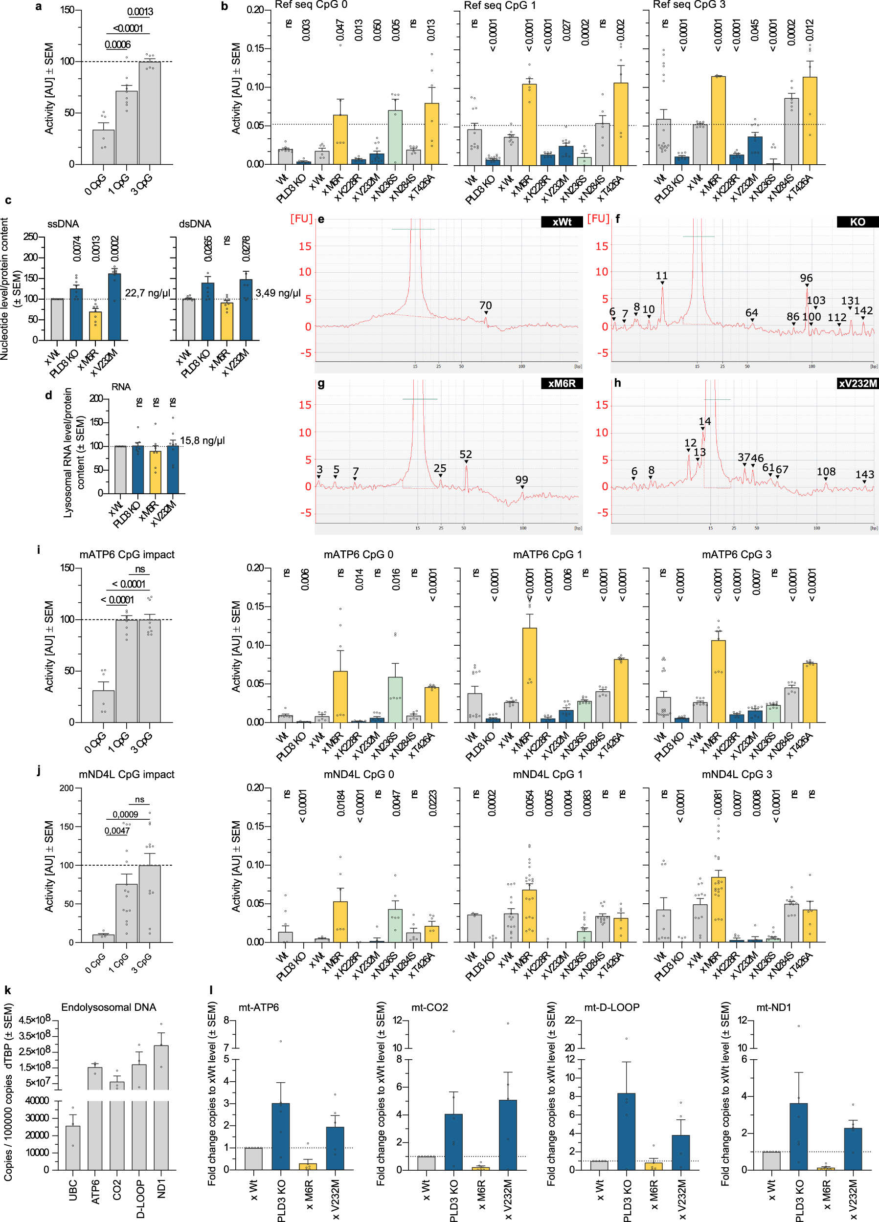 Niemann-Pick type C disease is associated with mtDNA disorganization.