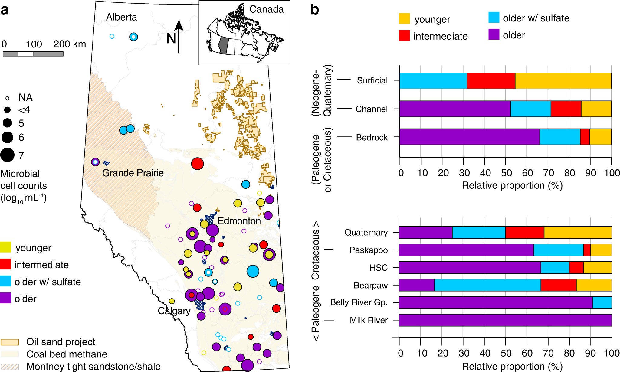 Hydrogen and dark oxygen drive microbial productivity in diverse 