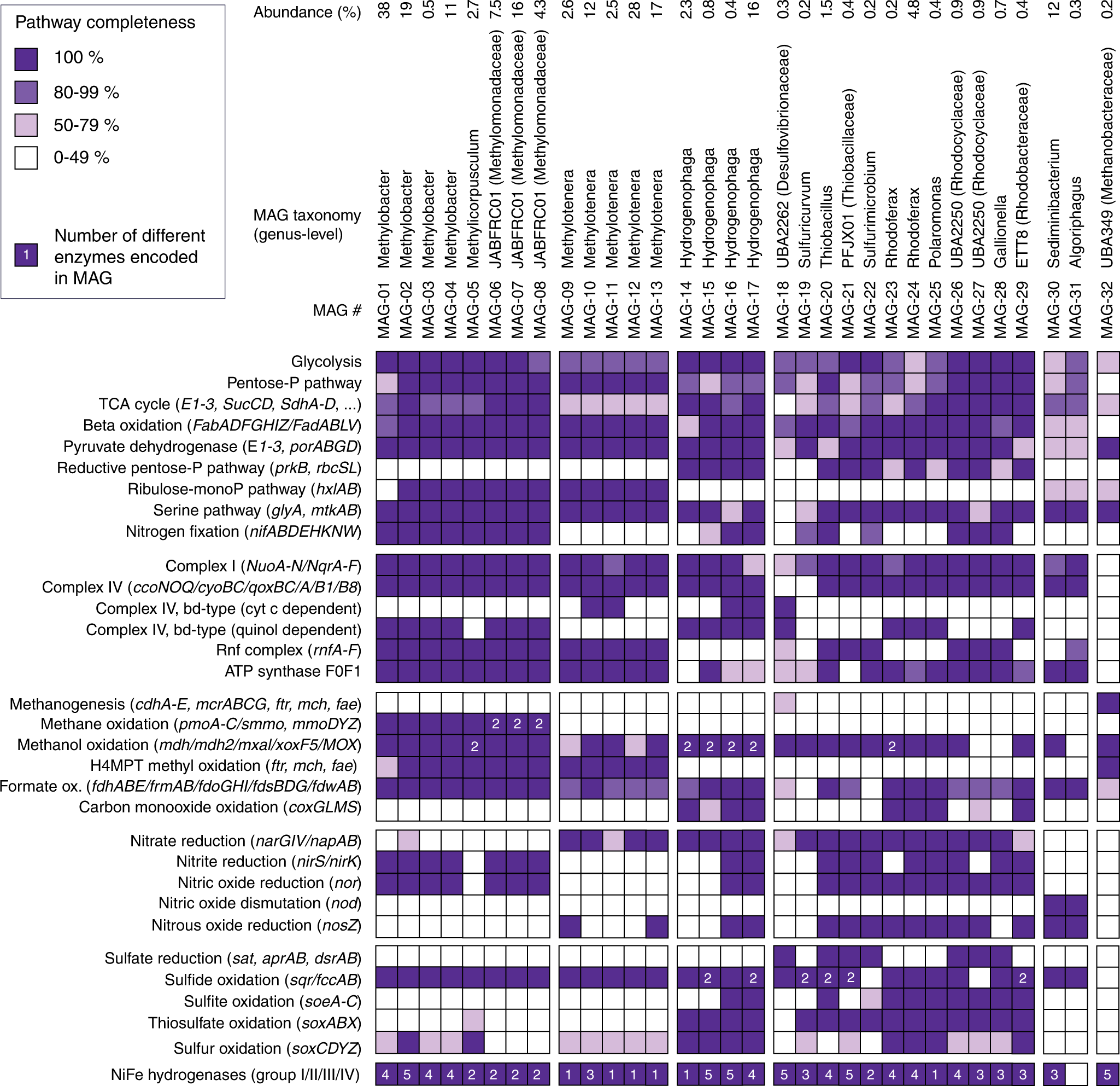 Fig. 7: Metagenome-assembled genomes and key metabolic pathways.