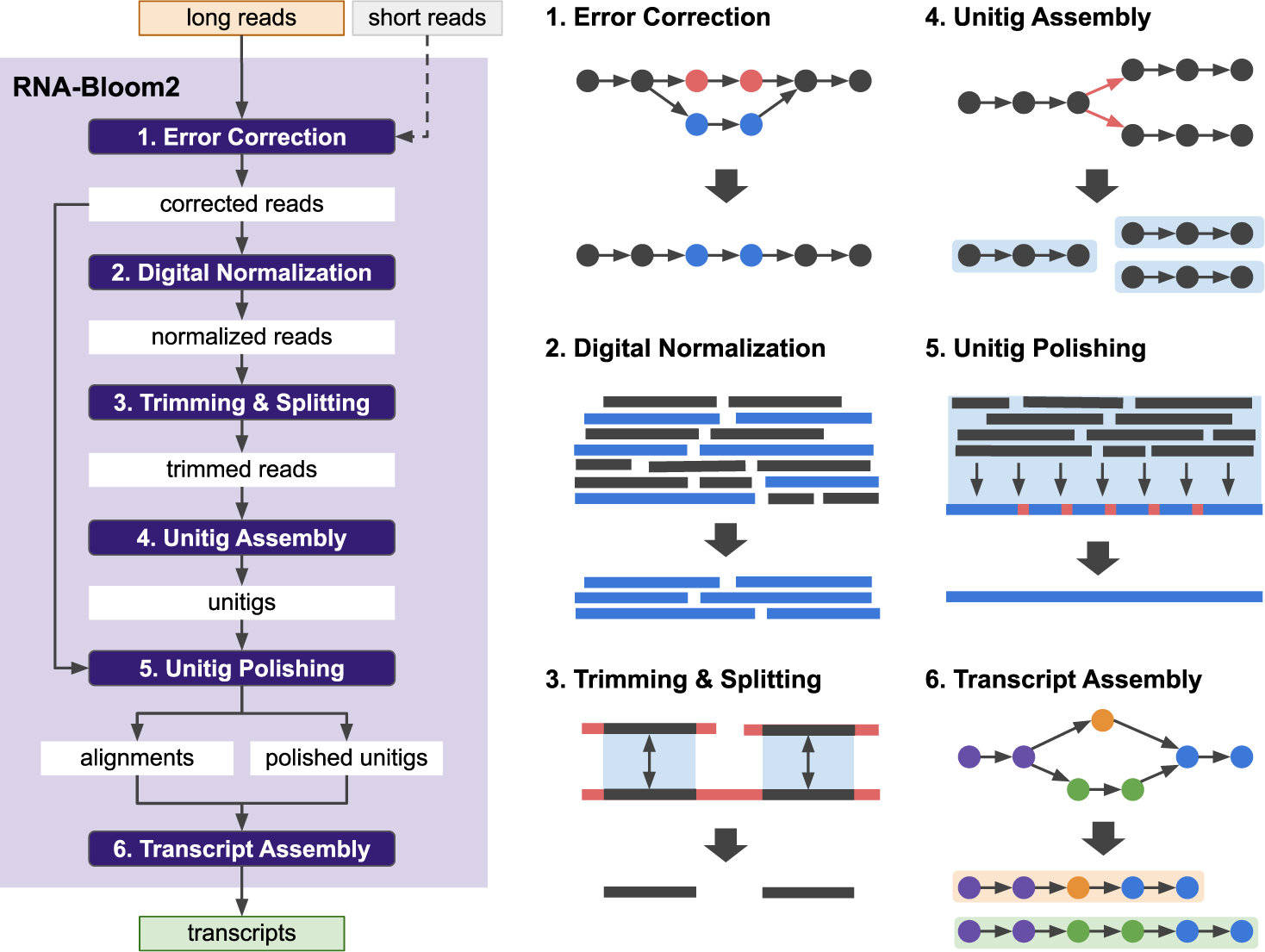 Reference-free assembly of long-read transcriptome sequencing data 