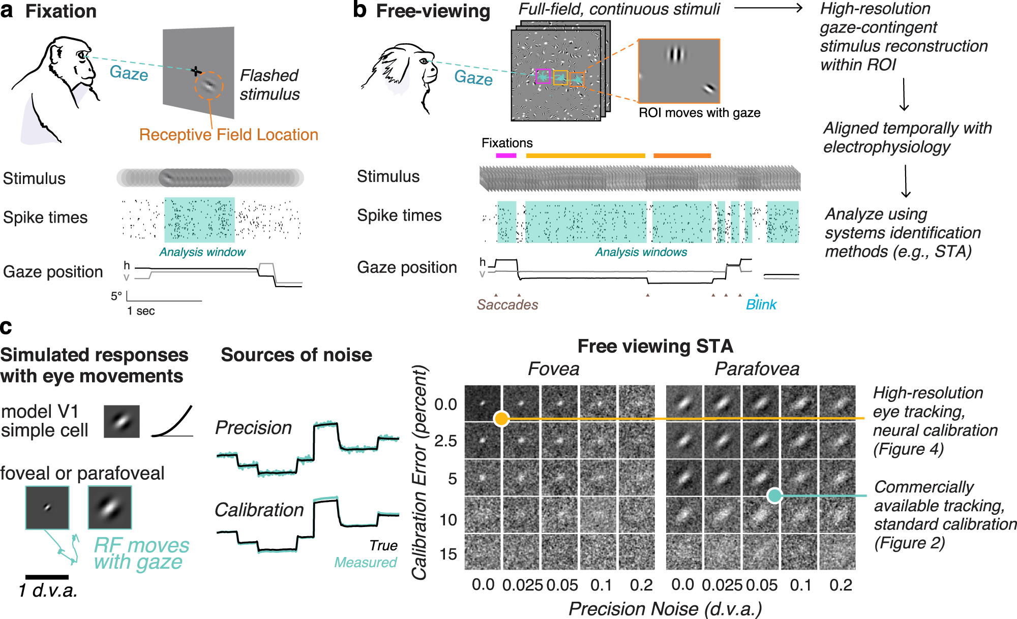Detailed characterization of neural selectivity in free viewing primates |  Nature Communications