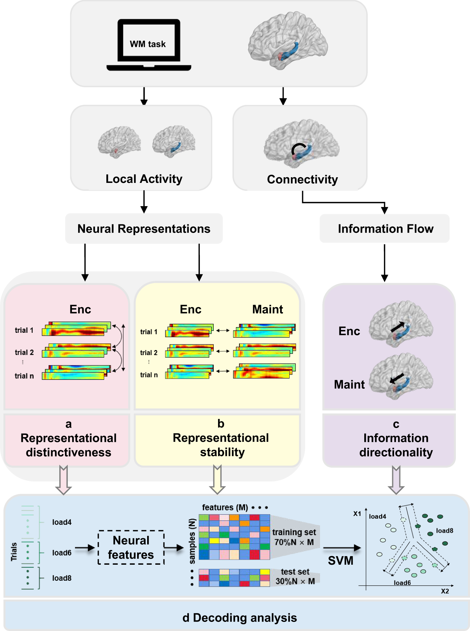 Functional specialization and interaction in the amygdala-hippocampus  circuit during working memory processing | Nature Communications