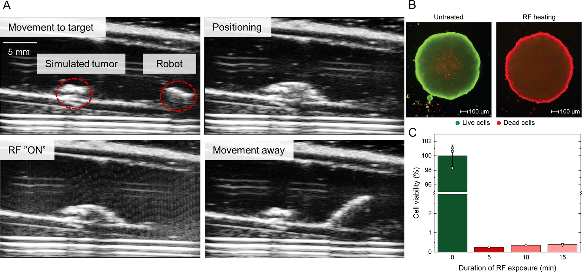 Fig. 7: Ex vivo demonstration directly utilising heat energy for hyperthermia.