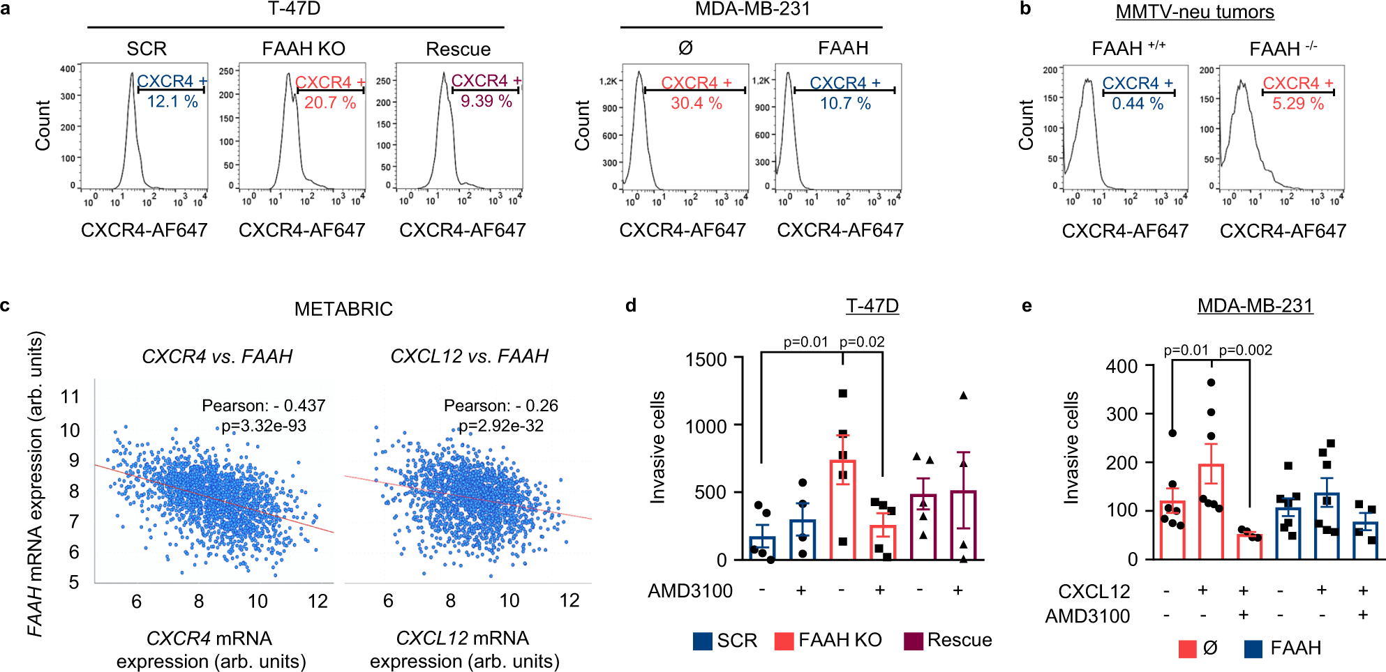 Fig. 6: The CXCR4-CXCL12 axis is involved in the control of FAAH-mediated inhibition of the invasive phenotype of BC cells.