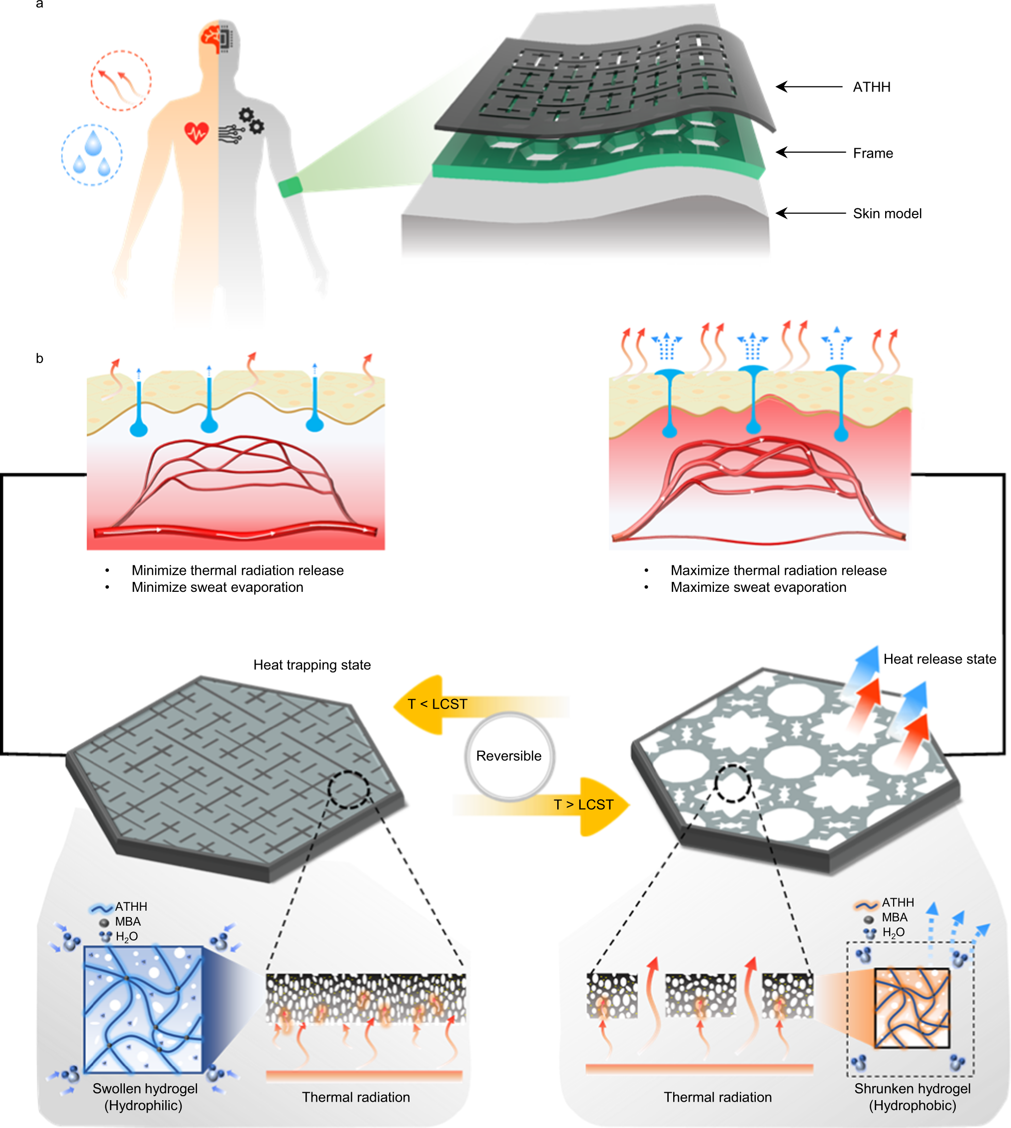 Bidirectional thermo-regulating hydrogel composite for autonomic thermal  homeostasis | Nature Communications