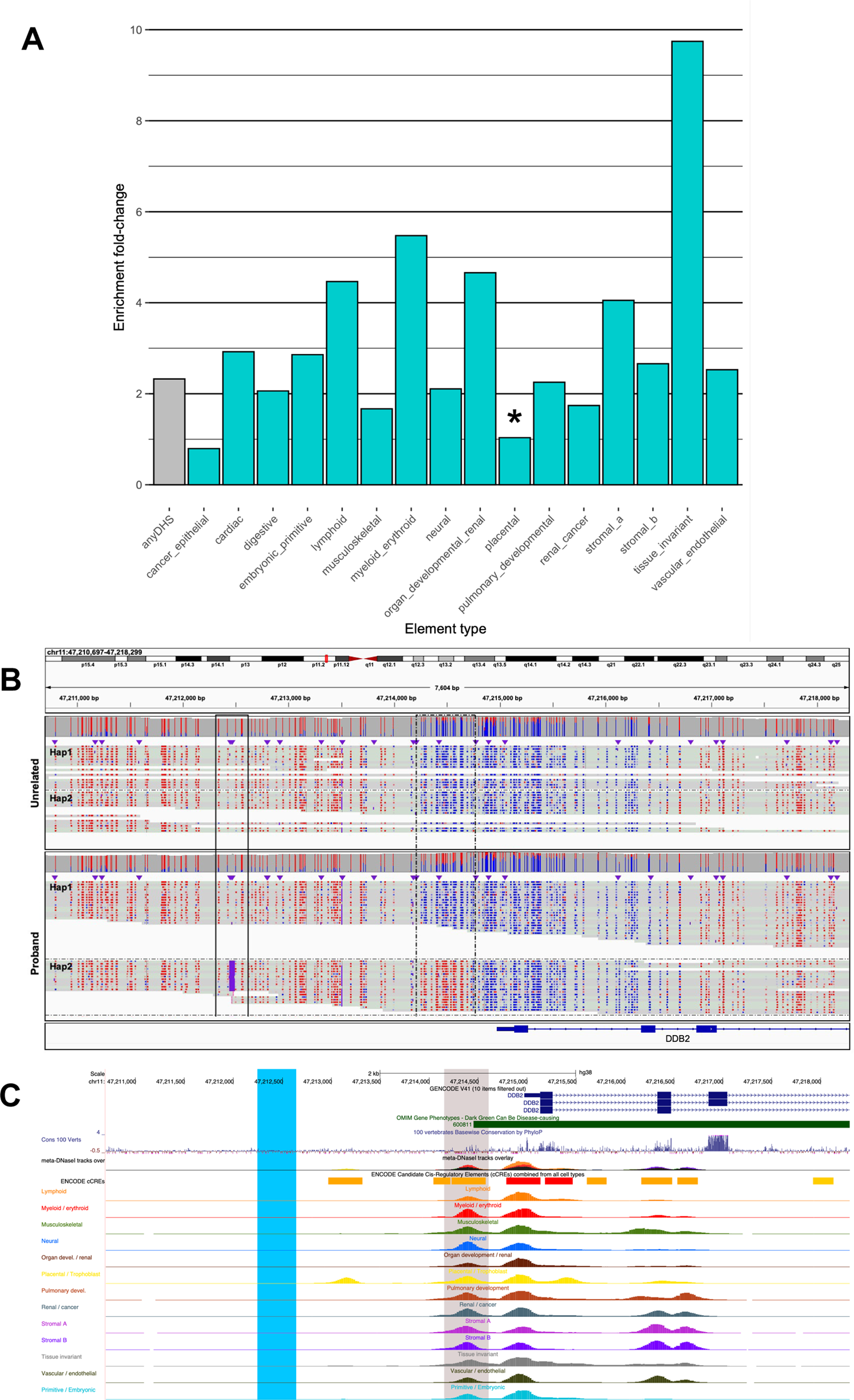 Fig. 5: Regulatory element annotation of rare hypermethylation outliers.