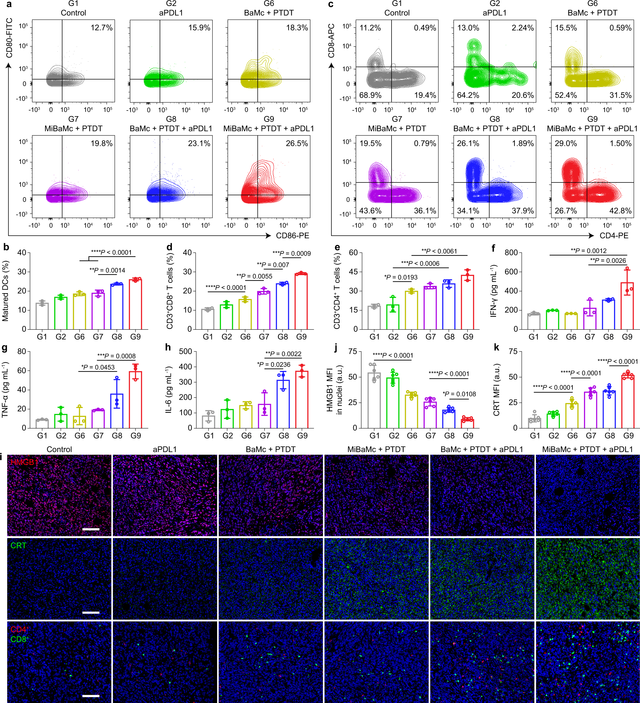 Fig. 5: Immuno-response of different treatment groups.