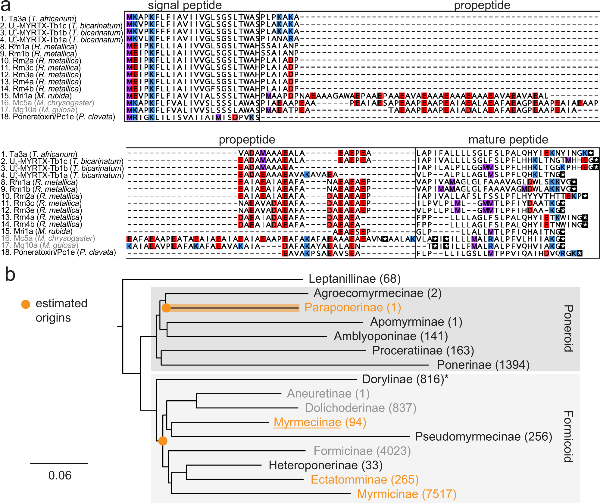 Fig. 5: Evolution of NaV channel toxins in ant venoms.