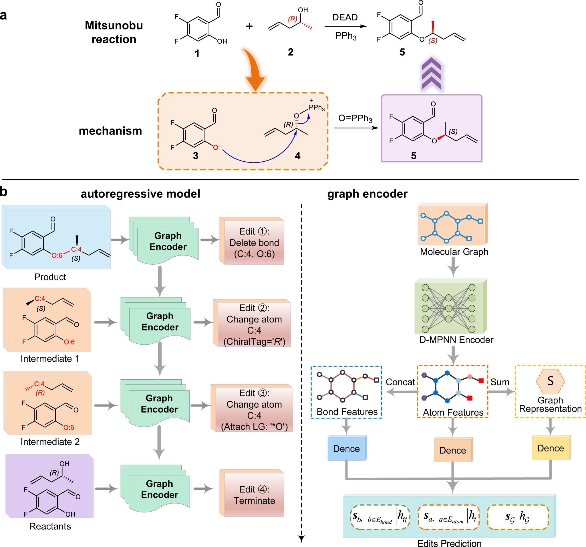 organic chemistry - Why is this diagram depicting the molecular