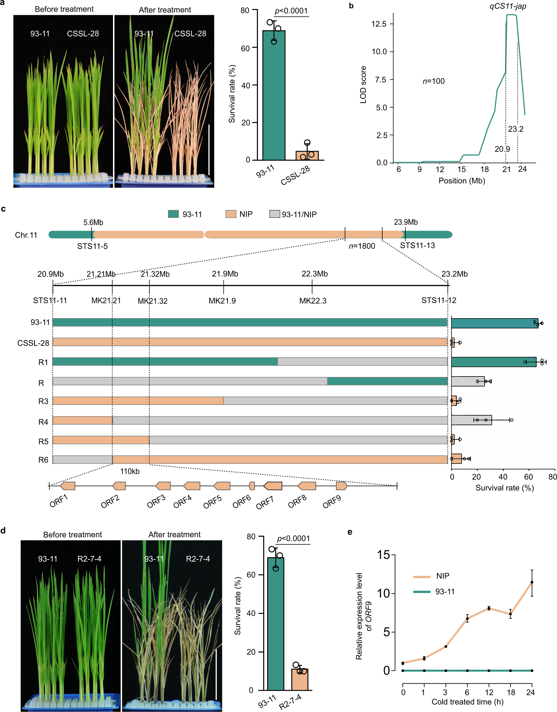 Fig. 1: Map-based cloning of the major gene in qCS11-jap.