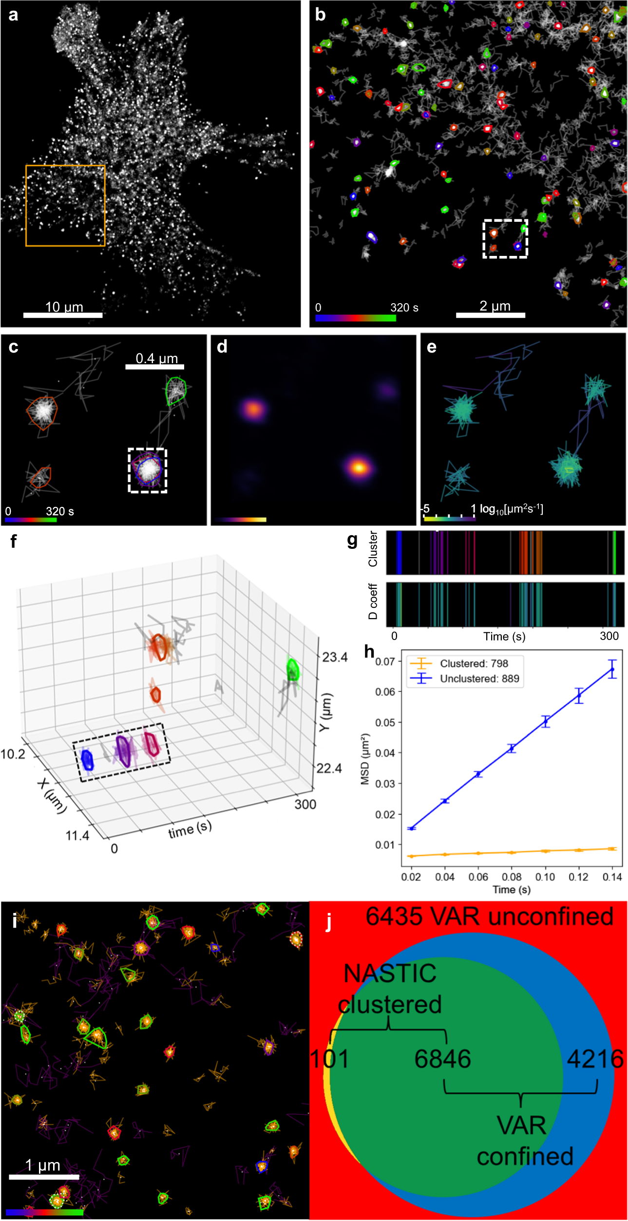 Fig. 3: Resolution of spatiotemporal clustering in live-cell molecular trajectory data.