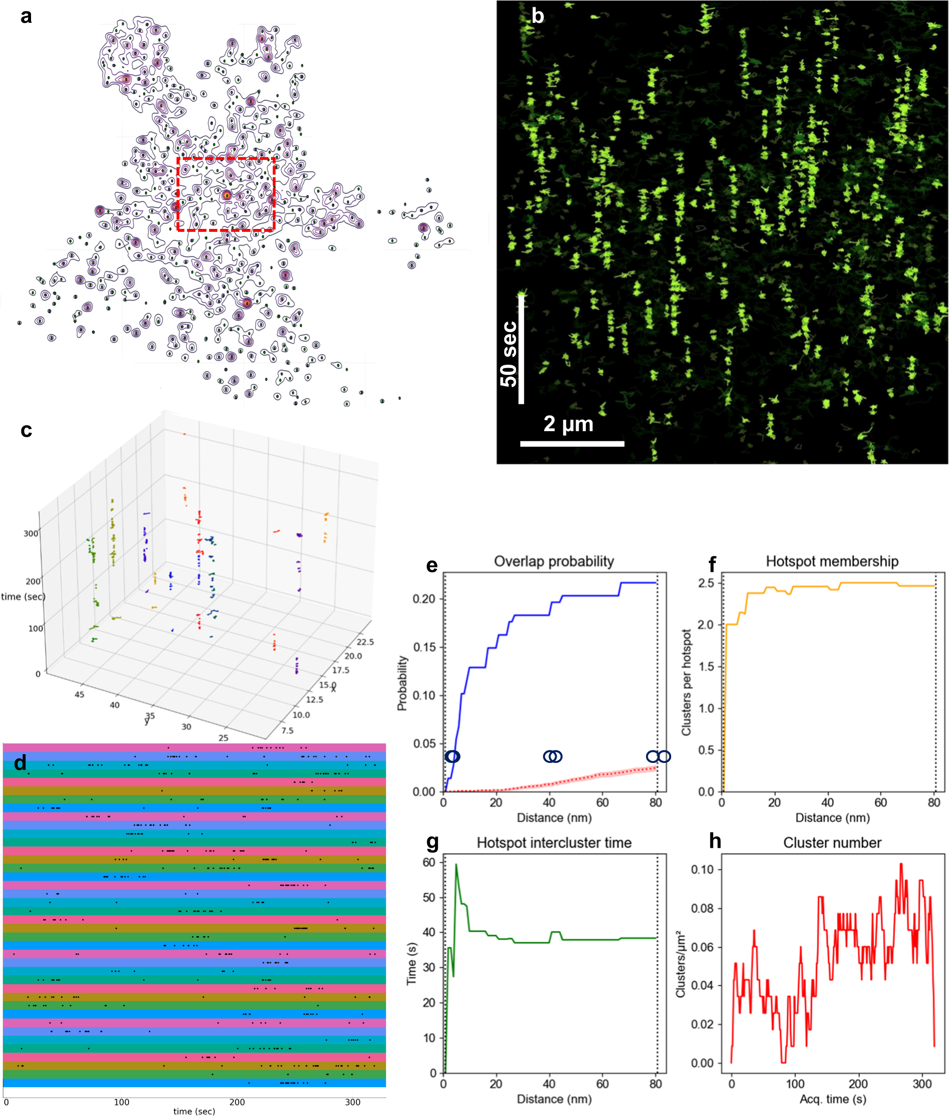 Fig. 4: NASTIC spatiotemporal metrics. Sx1a-mEos2 sptPALM data acquired at 50 Hz over 320 s analyzed by NASTIC.