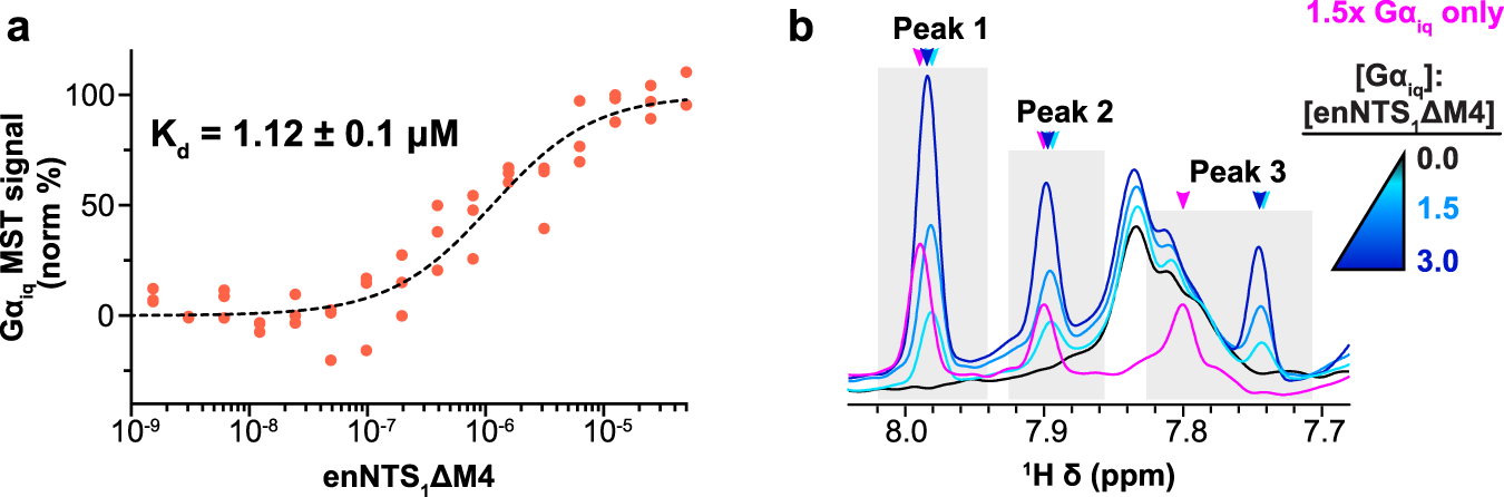 Fig. 4: Measurement of Gαiq:enNTS1ΔM4 complex affinity.