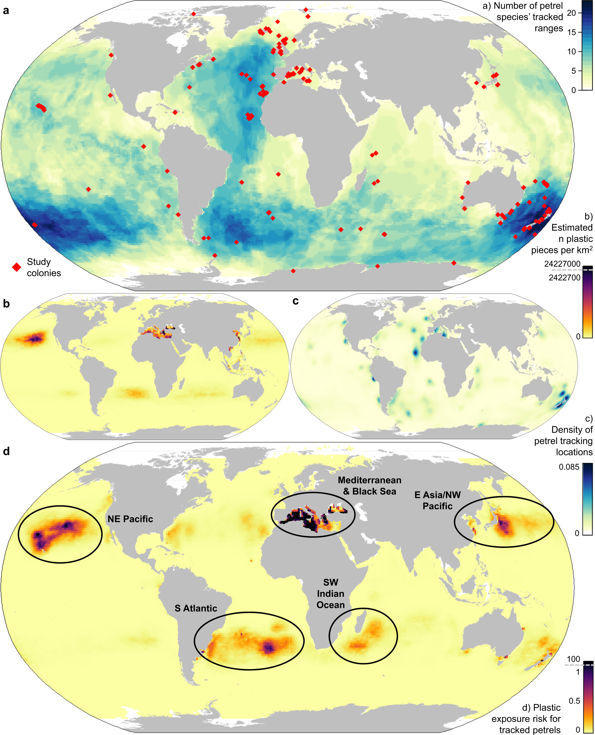 KREA - Search results for ciencia todo dia