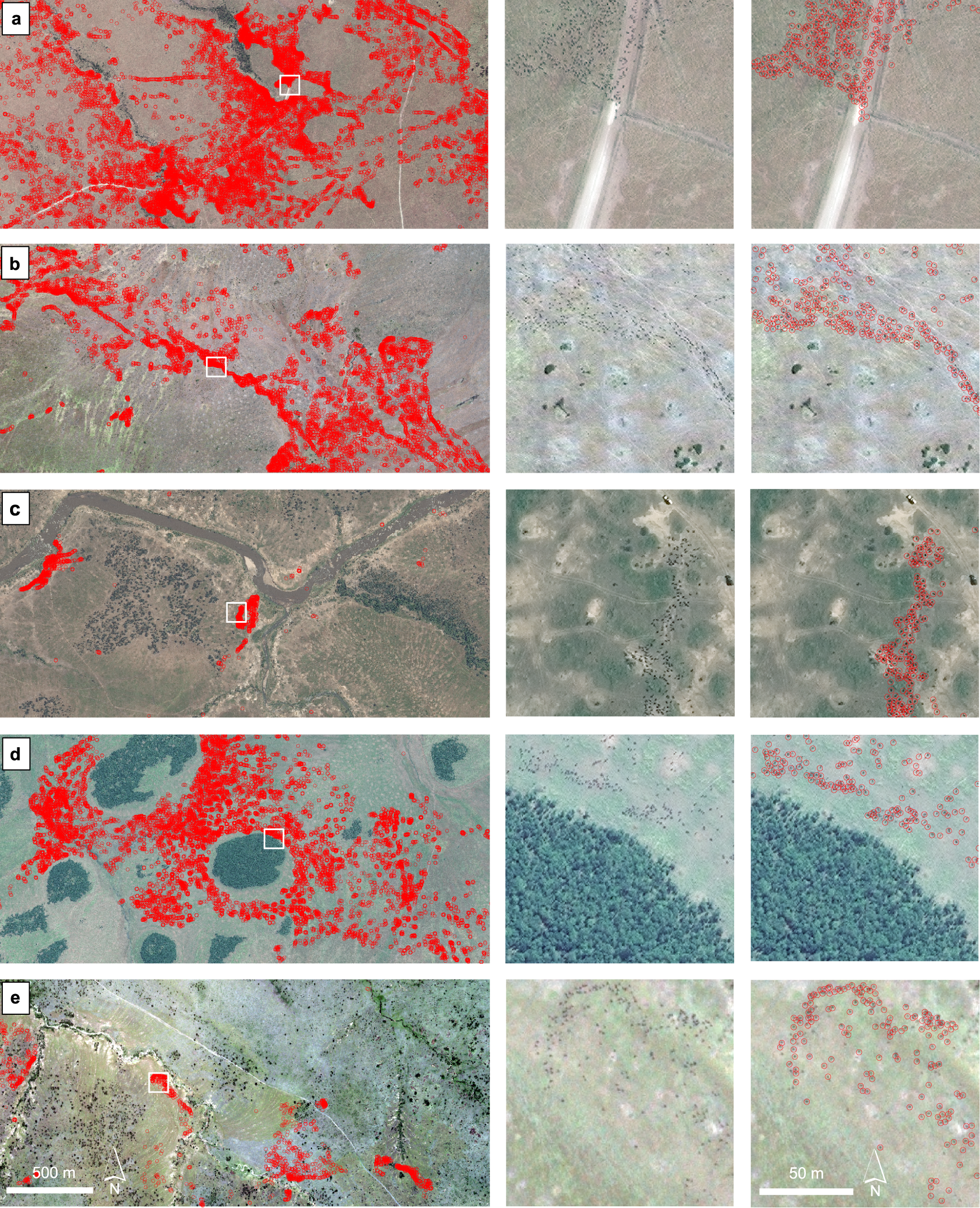 Fig. 6: Detecting wildebeest across different landscapes with variation in wildebeest spatial clustering patterns.